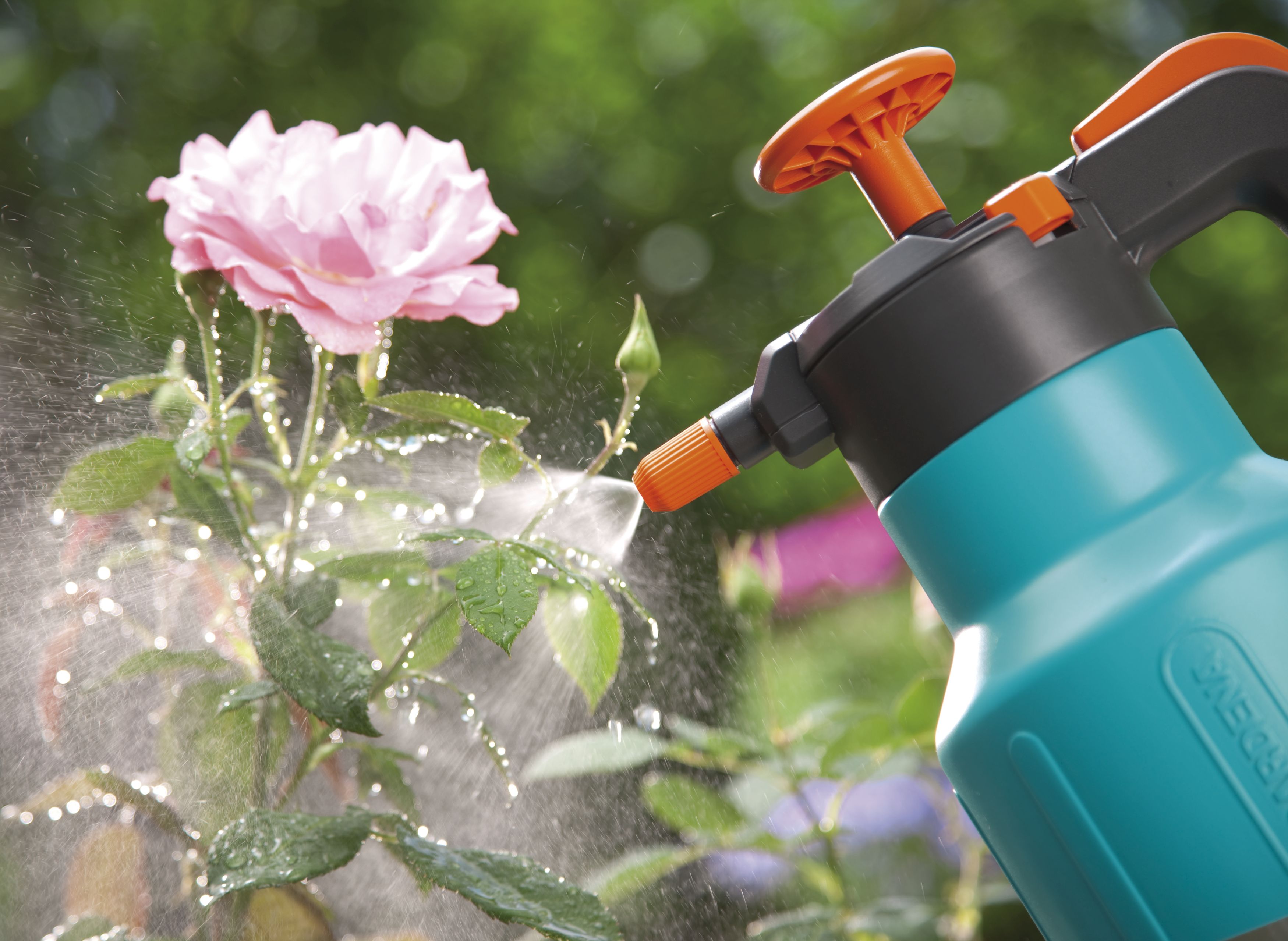 Pulverizador a presión Comfort de 1,25 l