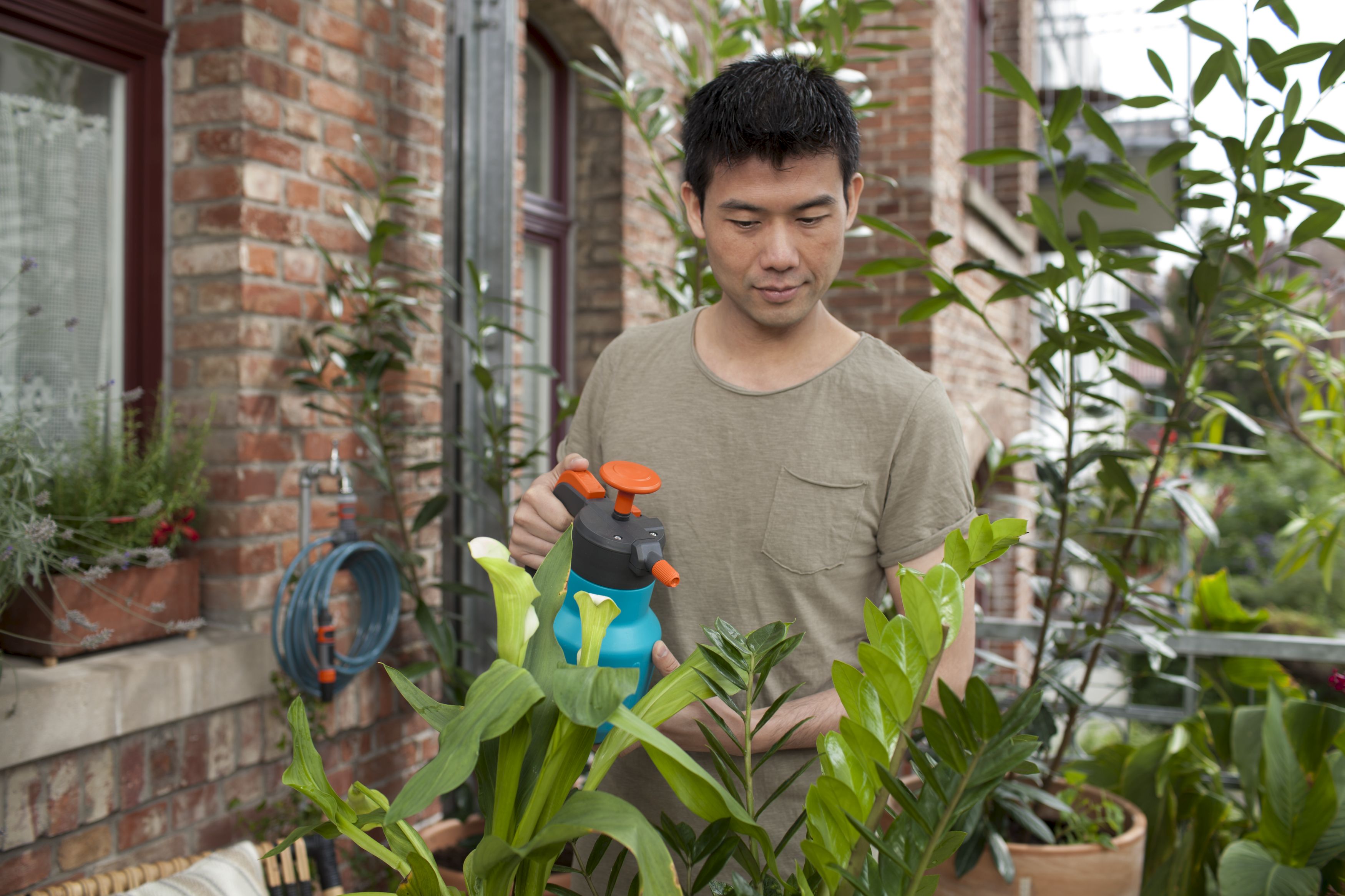 Pulverizador a presión Comfort de 1,25 l