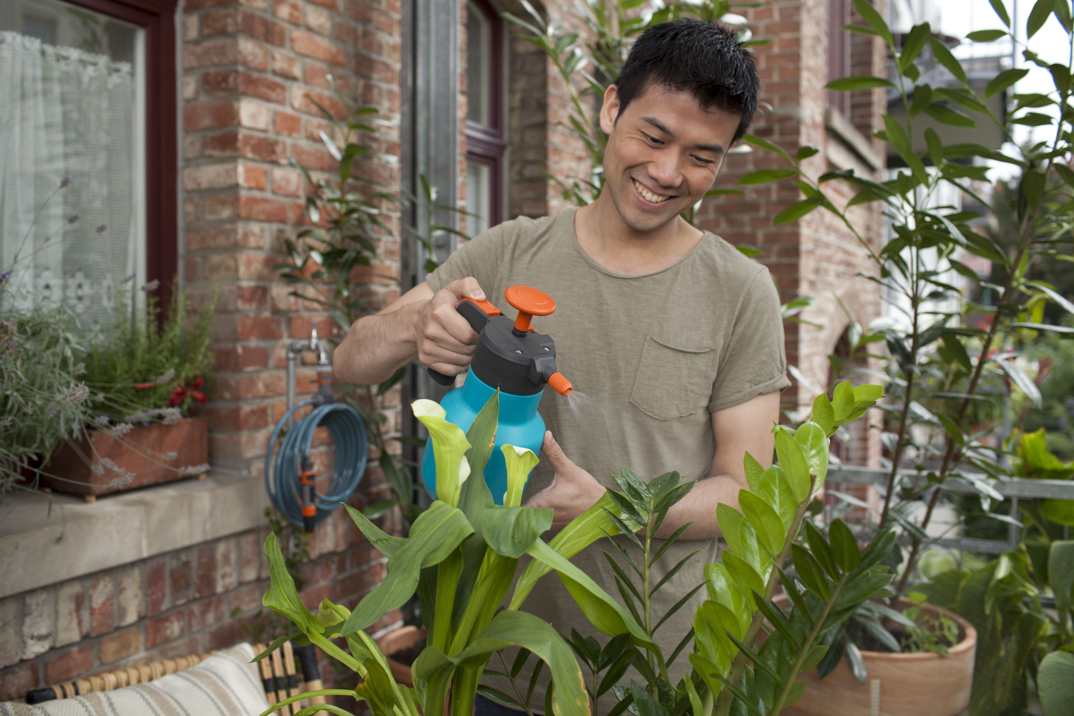 Pulverizador a presión Comfort de 1,25 l