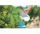 Pulverizador a presión Comfort de 1,25 l
