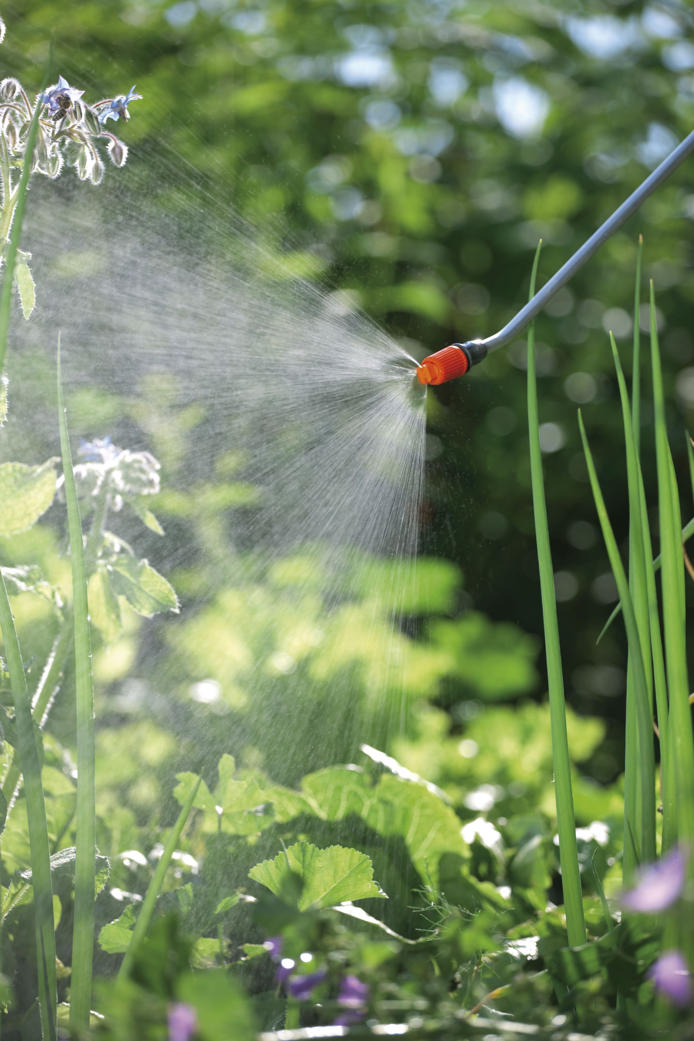 Pulverizador a presión 5 l Classic