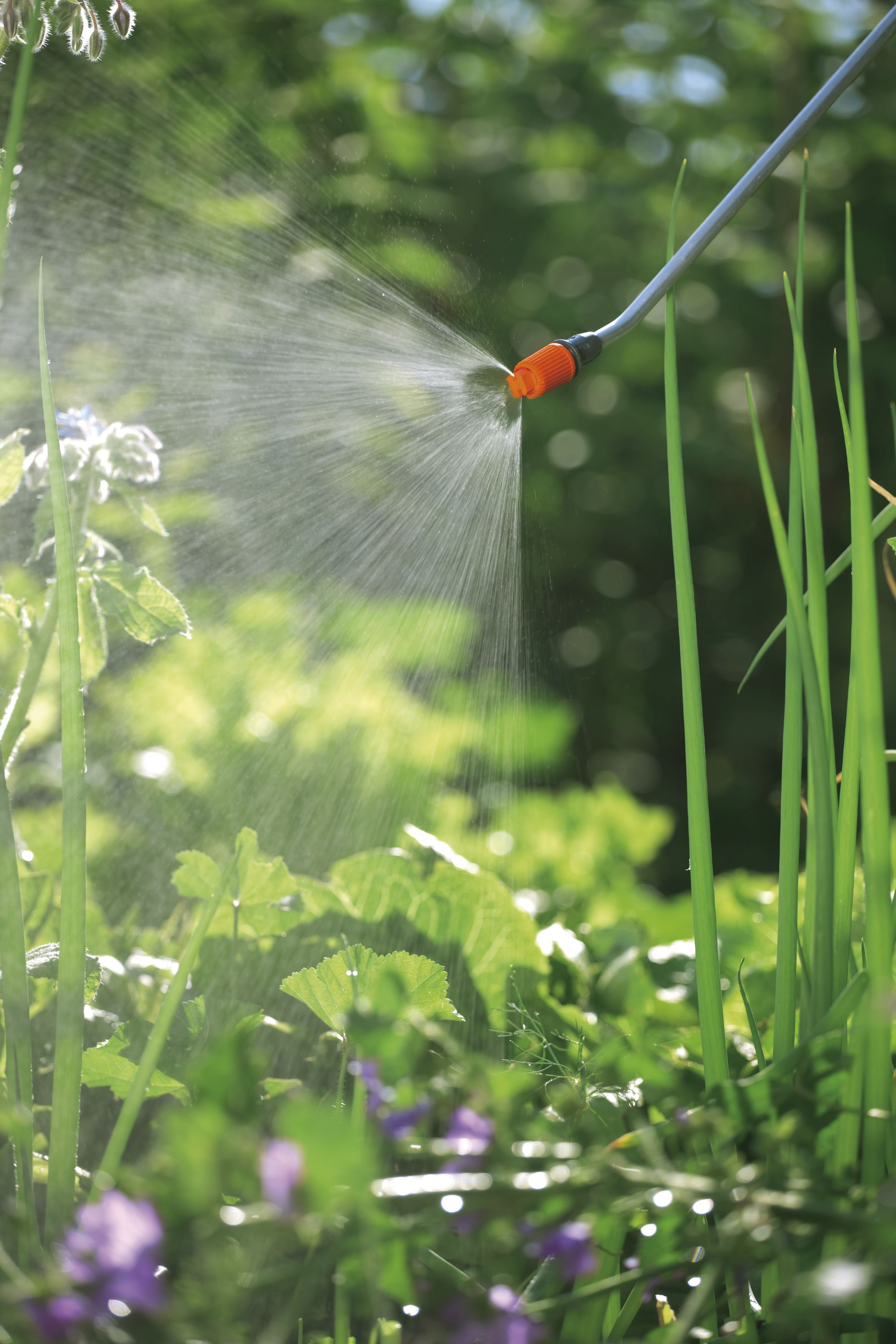 Pulverizador a presión 5 l Classic