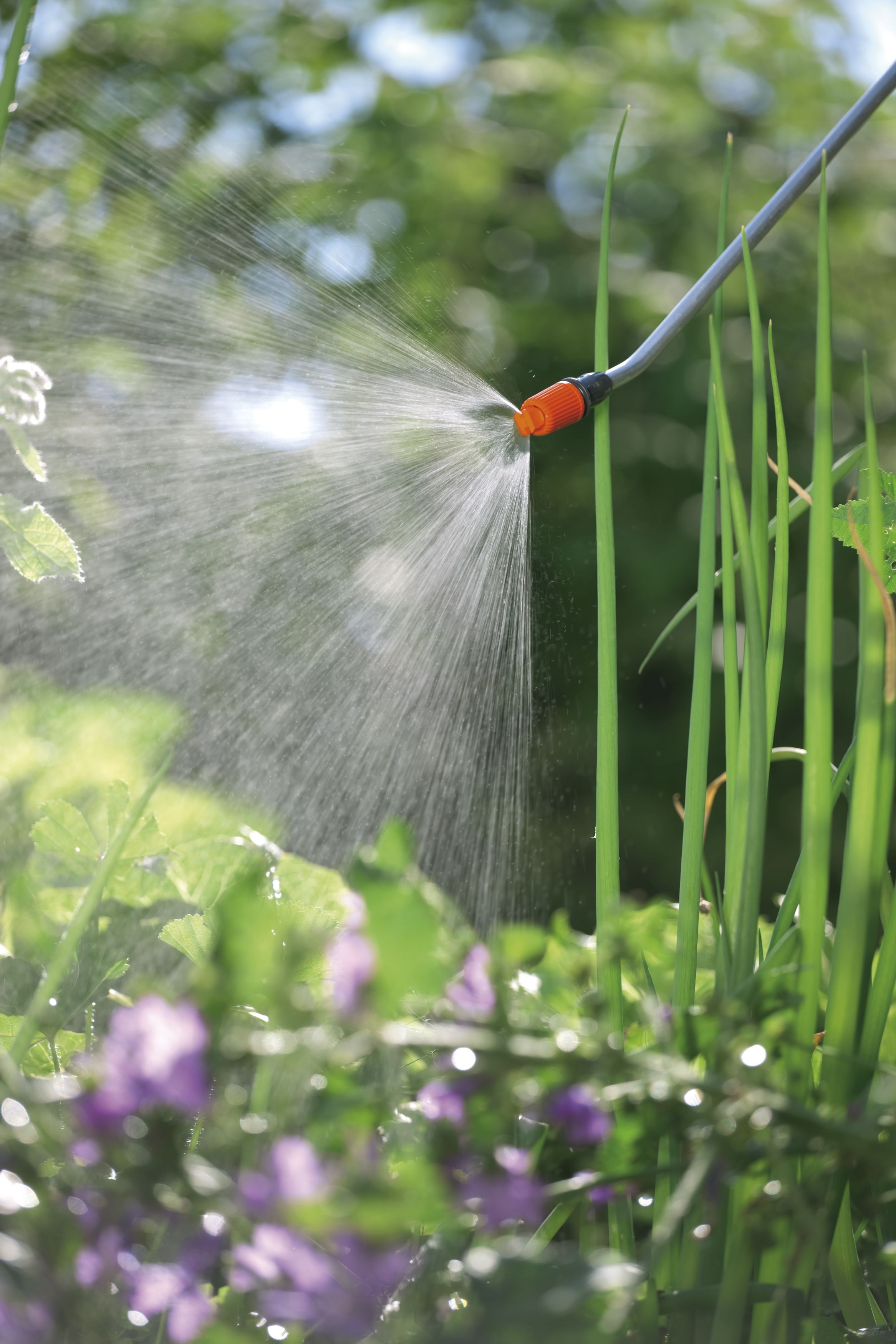 Pulverizador a presión 5 l Classic