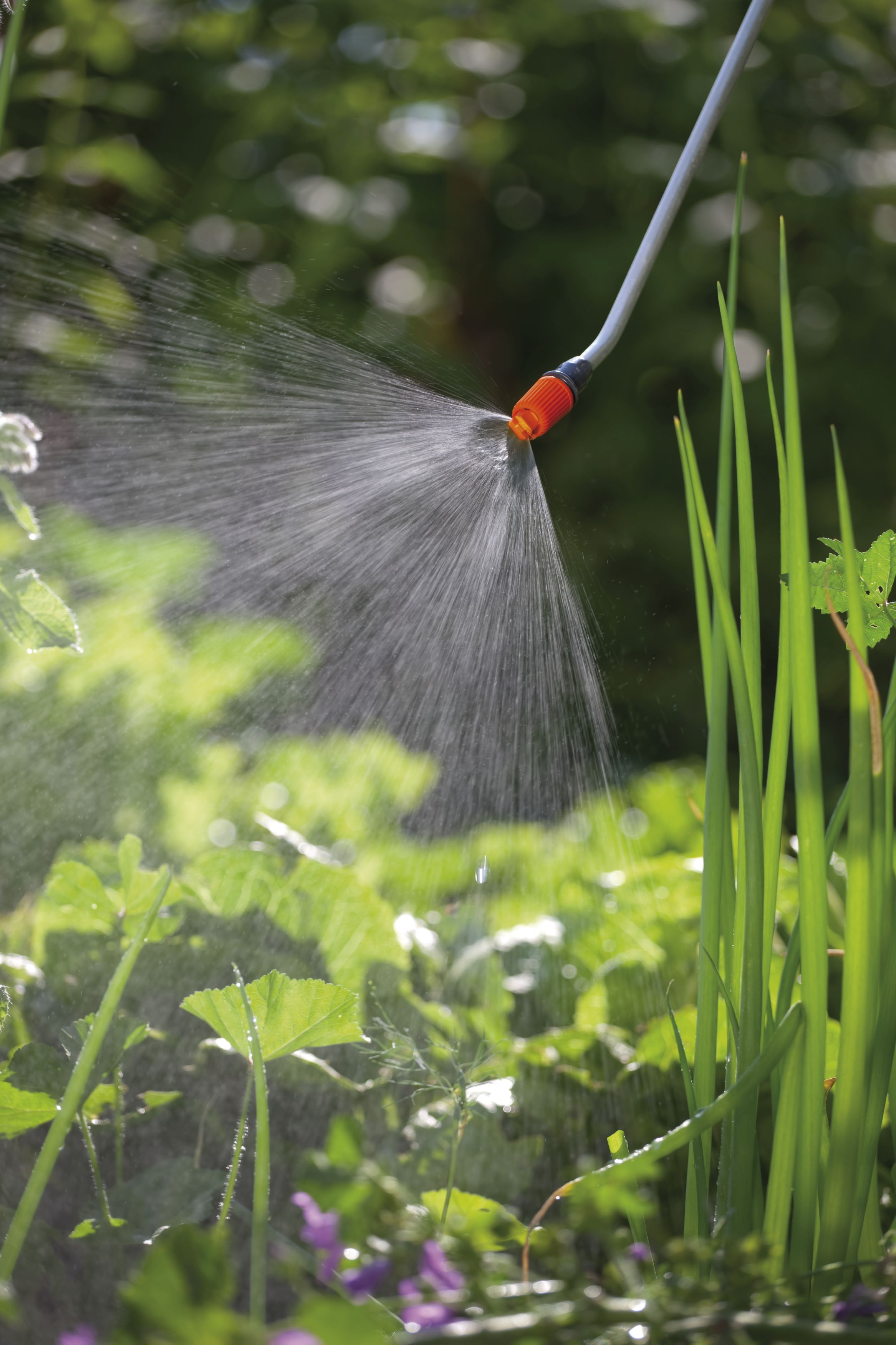 Pulverizador a presión 5 l Classic