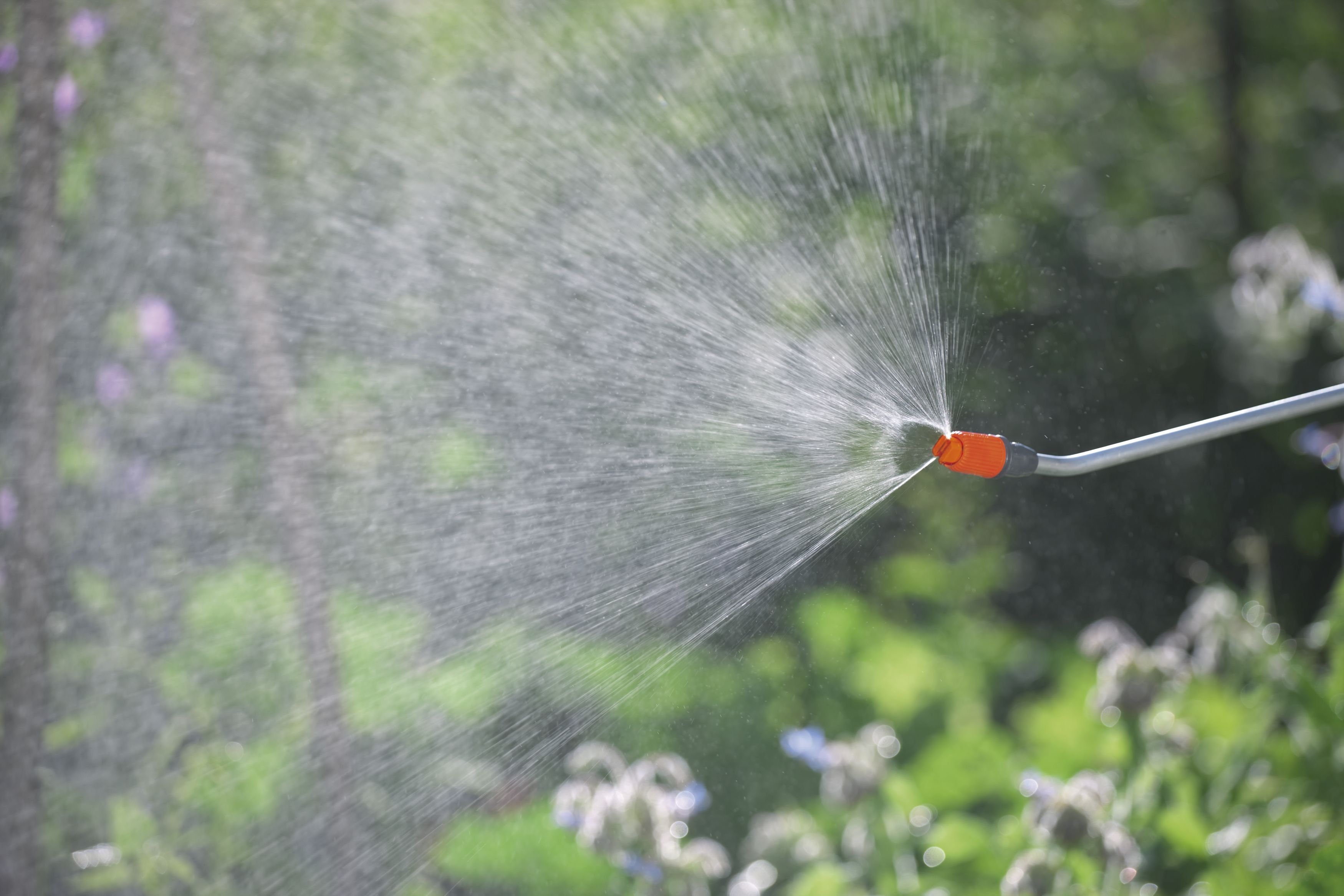 Pulverizador a presión 5 l Classic