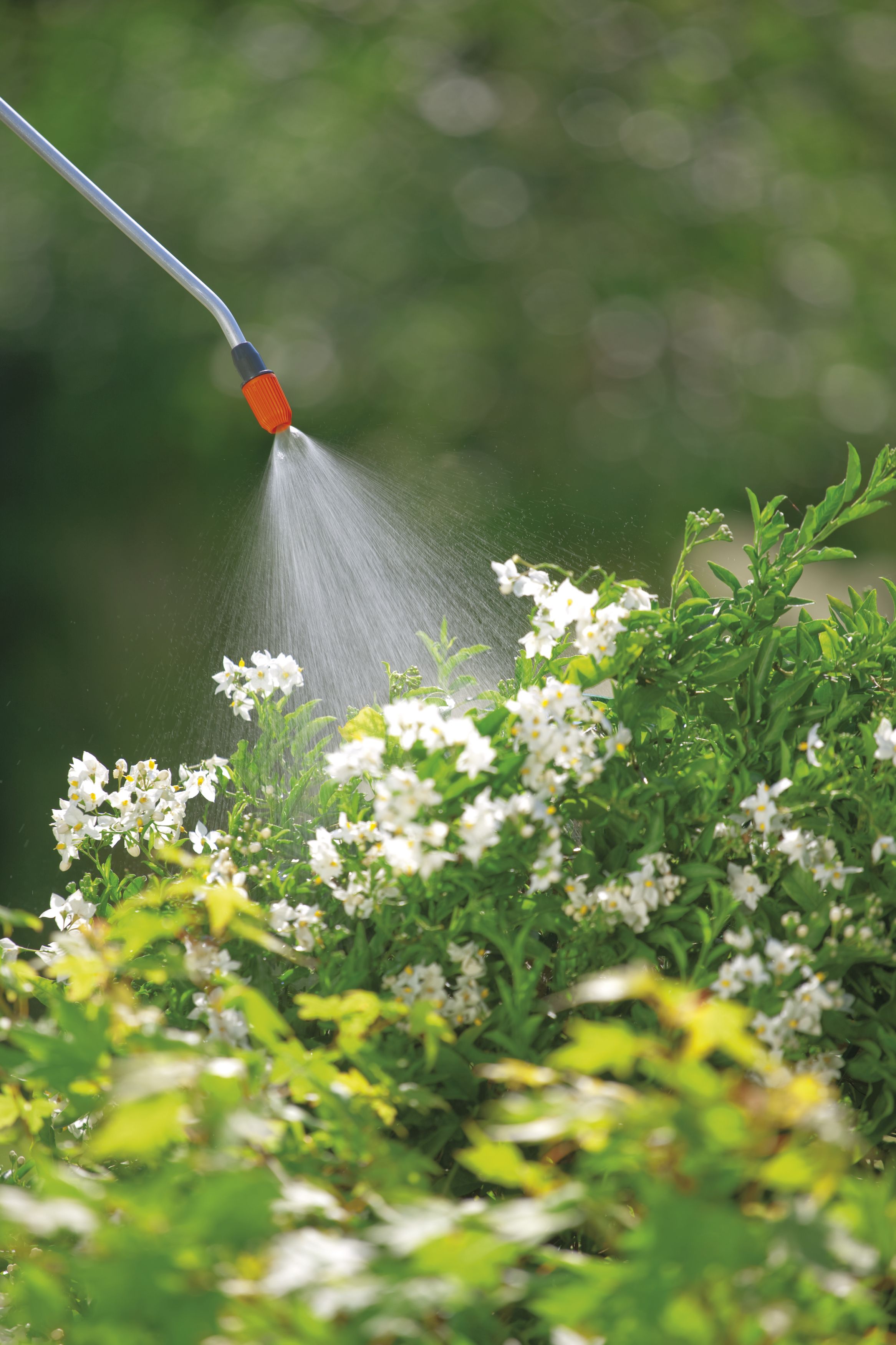 Pulverizador a presión 5 l Classic