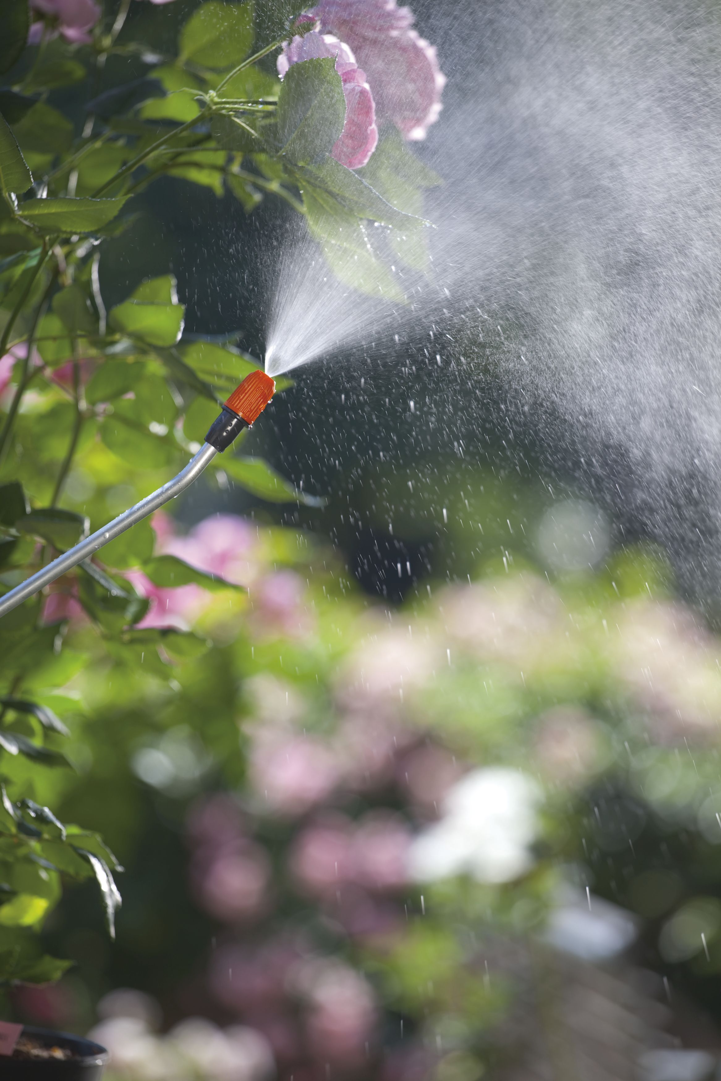 Pulverizador a presión Comfort 3 l