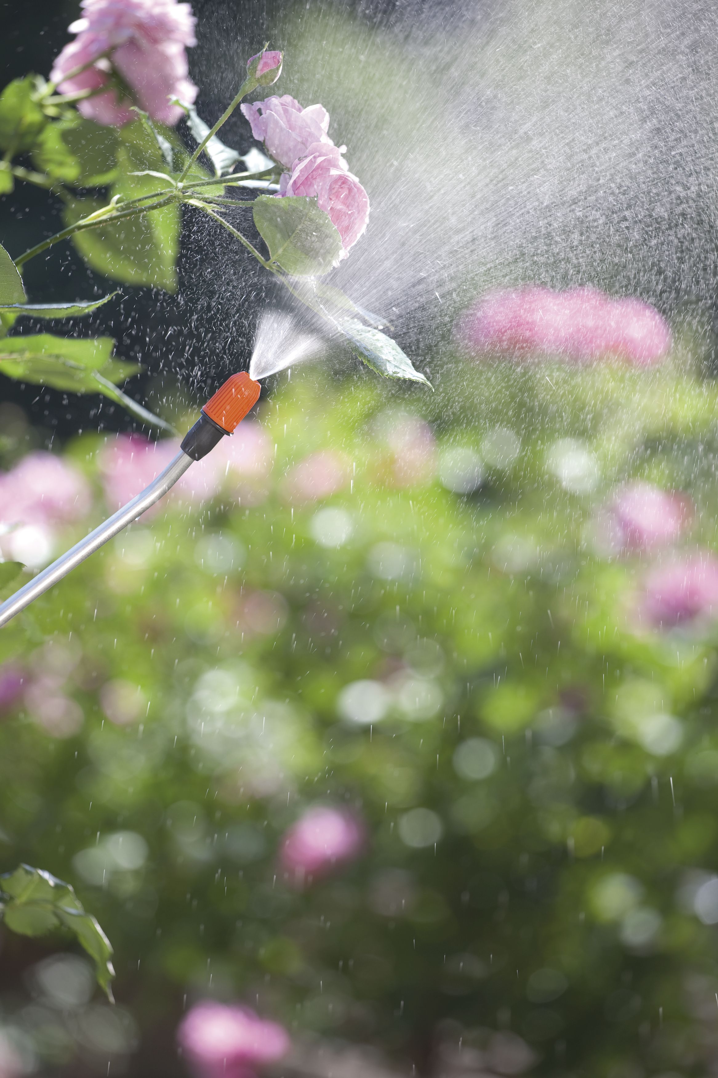 Pulverizador a presión Comfort 3 l