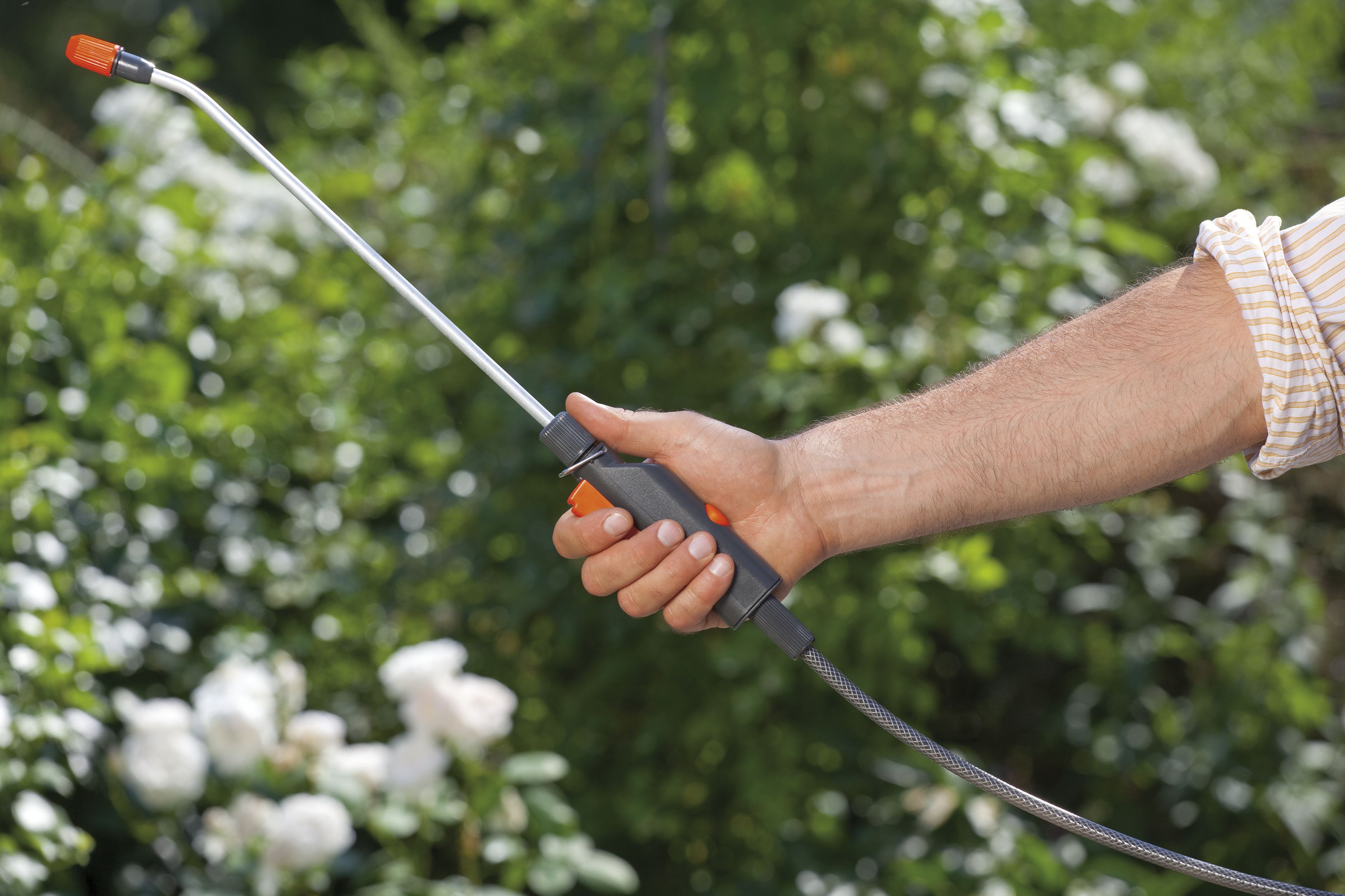 Pulverizador a presión Comfort 3 l