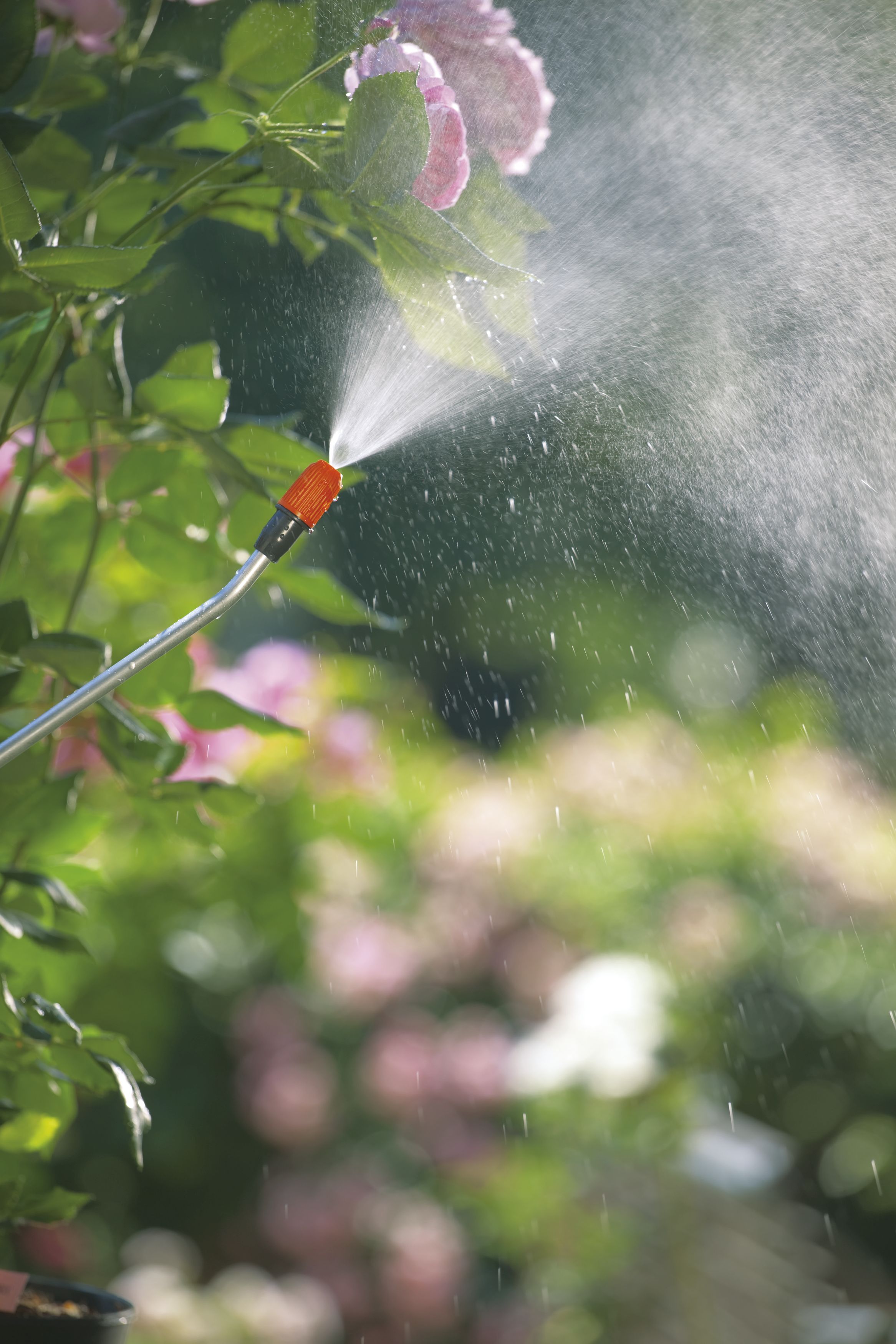 Pulverizador a presión Comfort 5 l