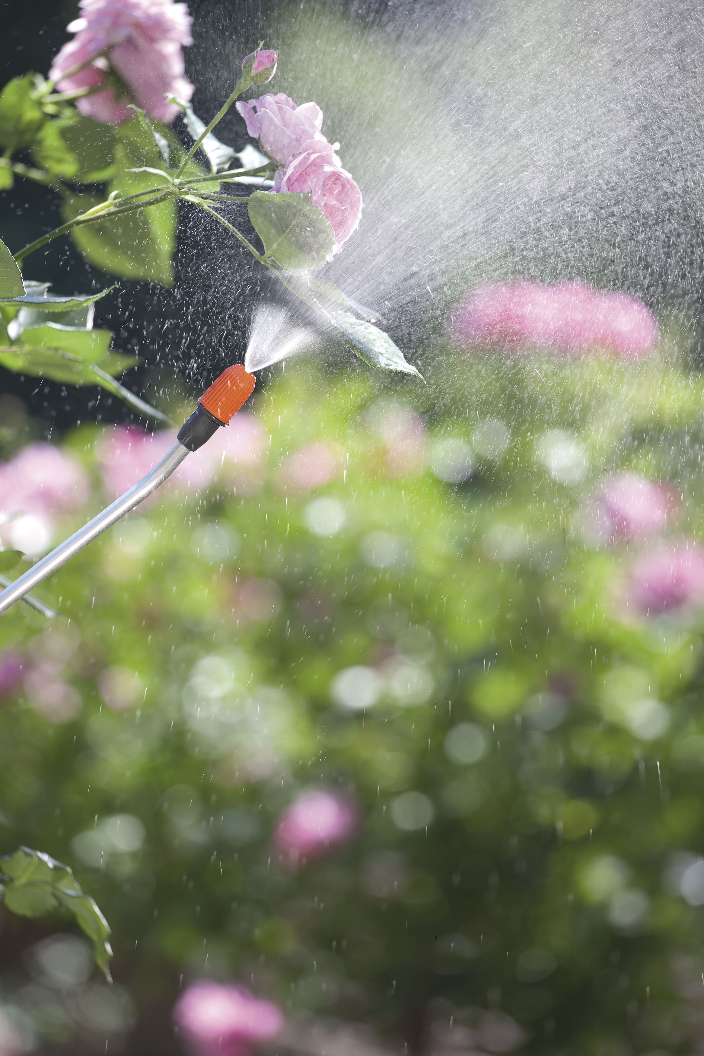 Pulverizador a presión Comfort 5 l