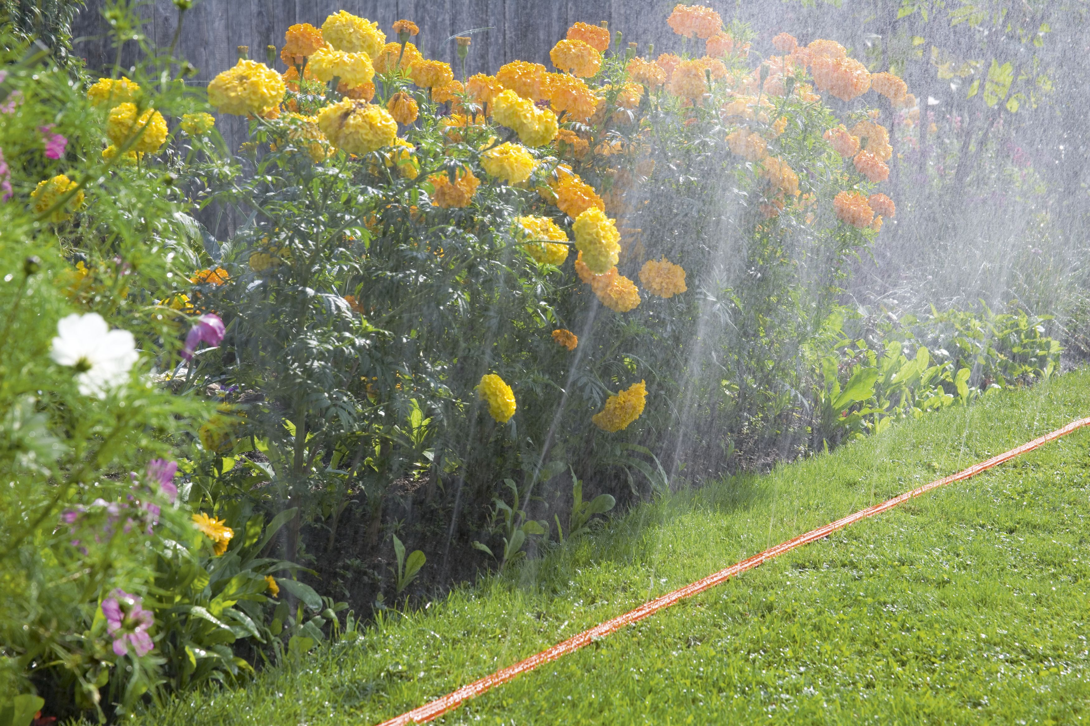 Manguera microperforada naranja de 7,5 m