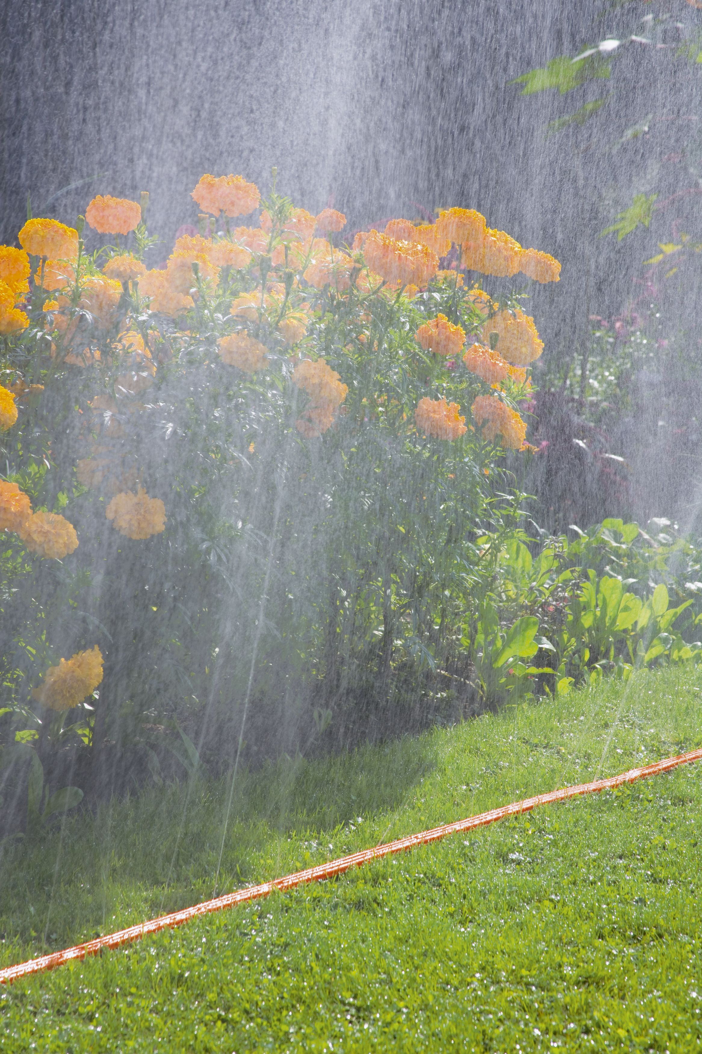 Manguera microperforada naranja de 7,5 m