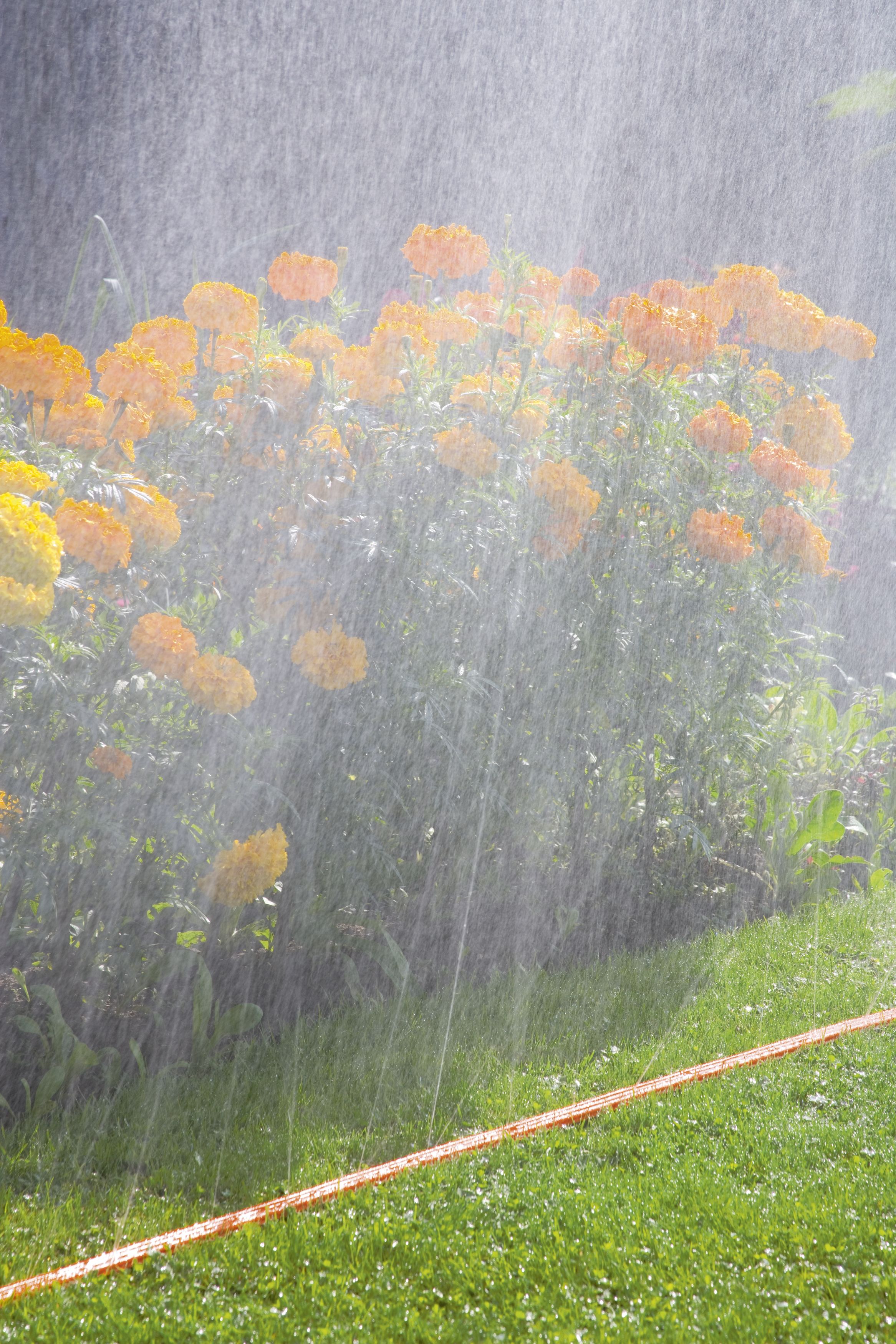 Manguera microperforada naranja de 7,5 m