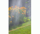 Manguera microperforada naranja de 7,5 m