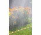 Manguera microperforada naranja de 7,5 m