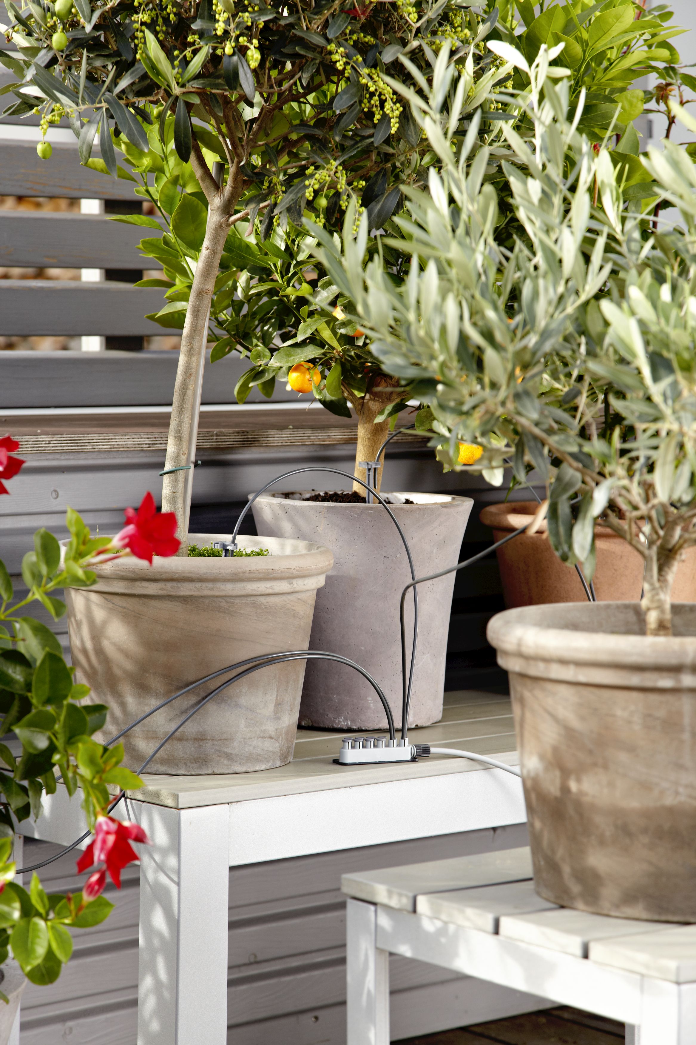 Riego automático de vacaciones