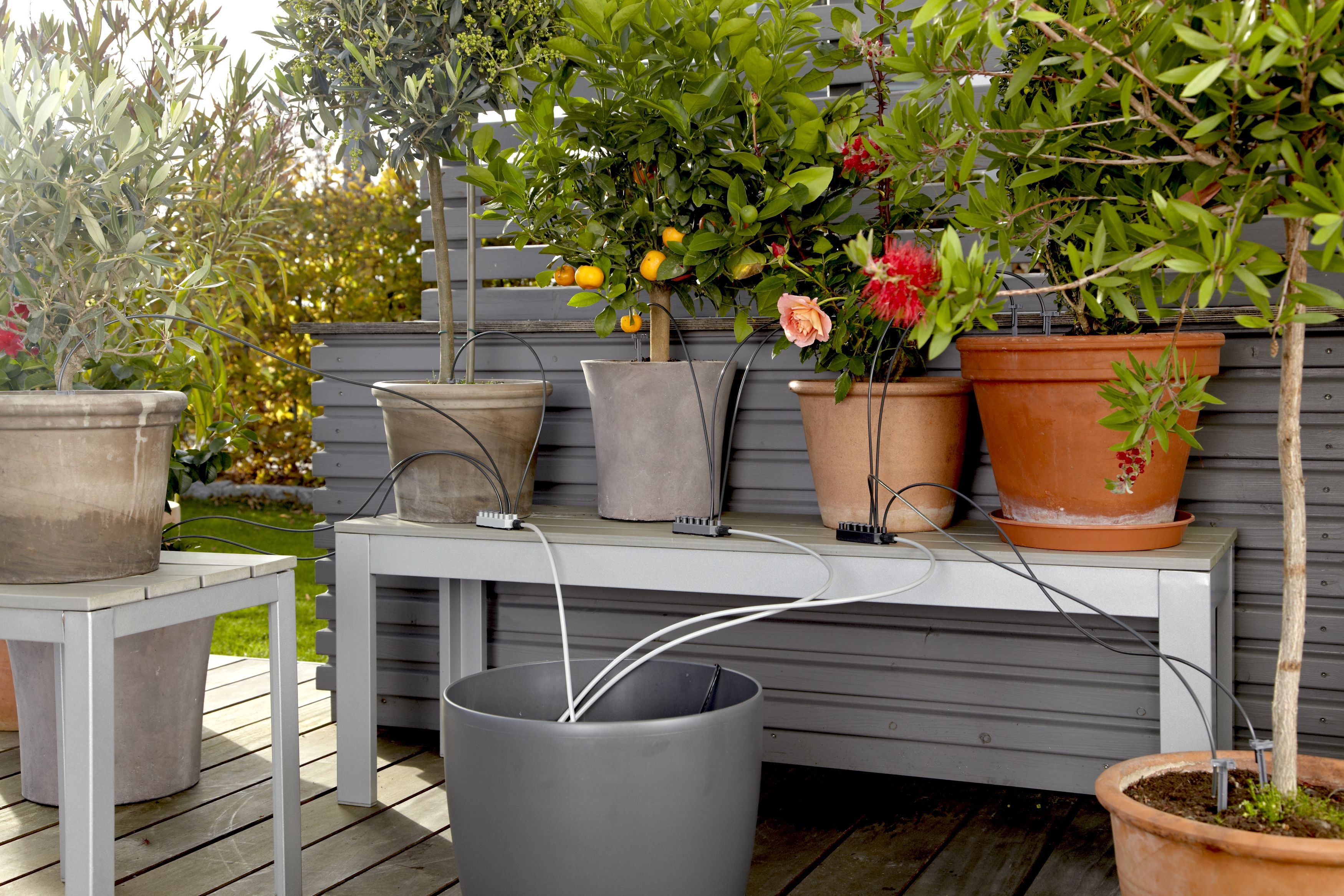 Riego automático de vacaciones