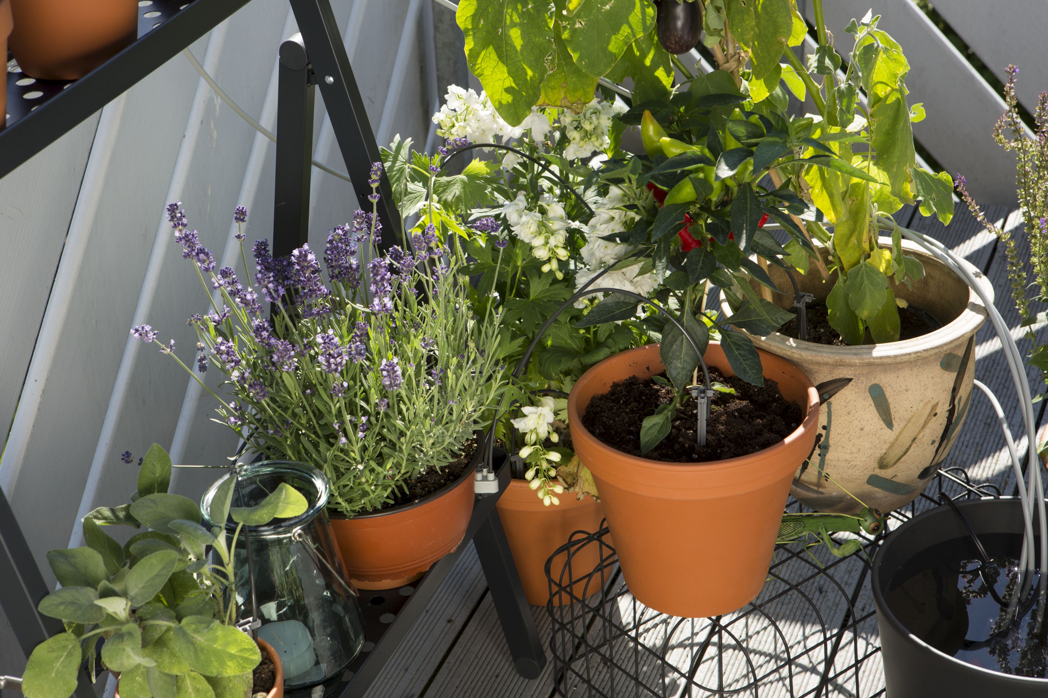 Riego automático de vacaciones