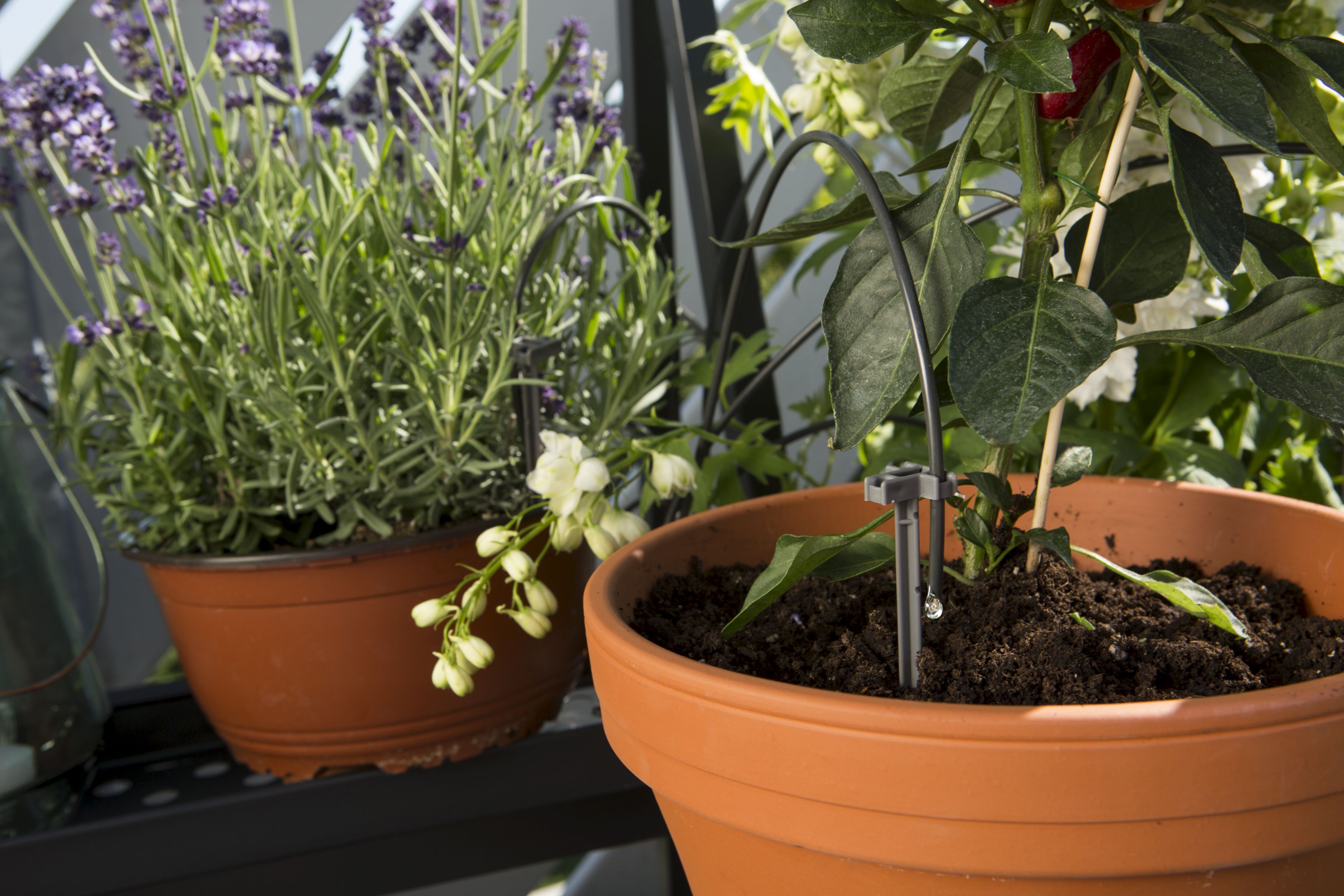 Riego automático de vacaciones