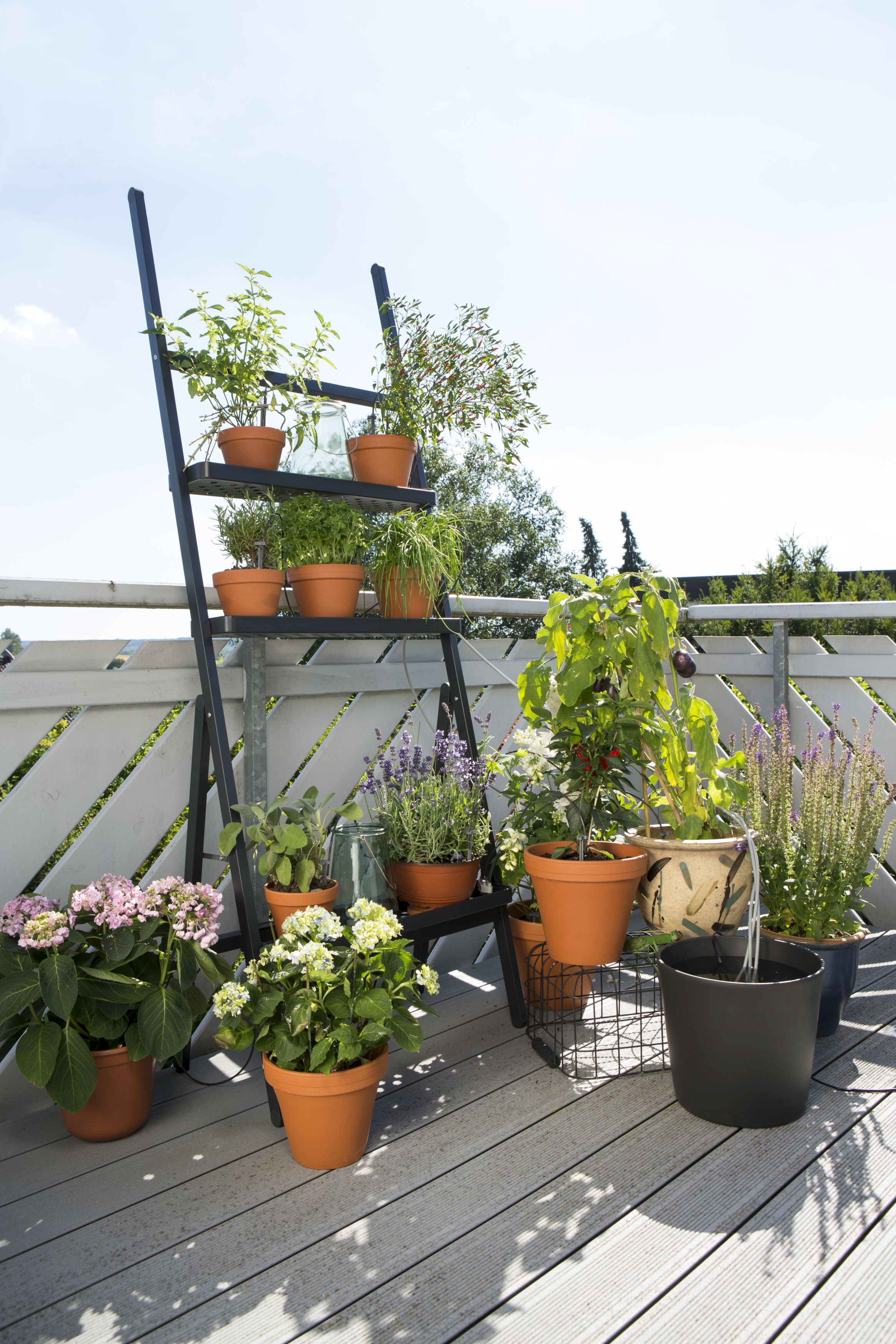 Riego automático de vacaciones