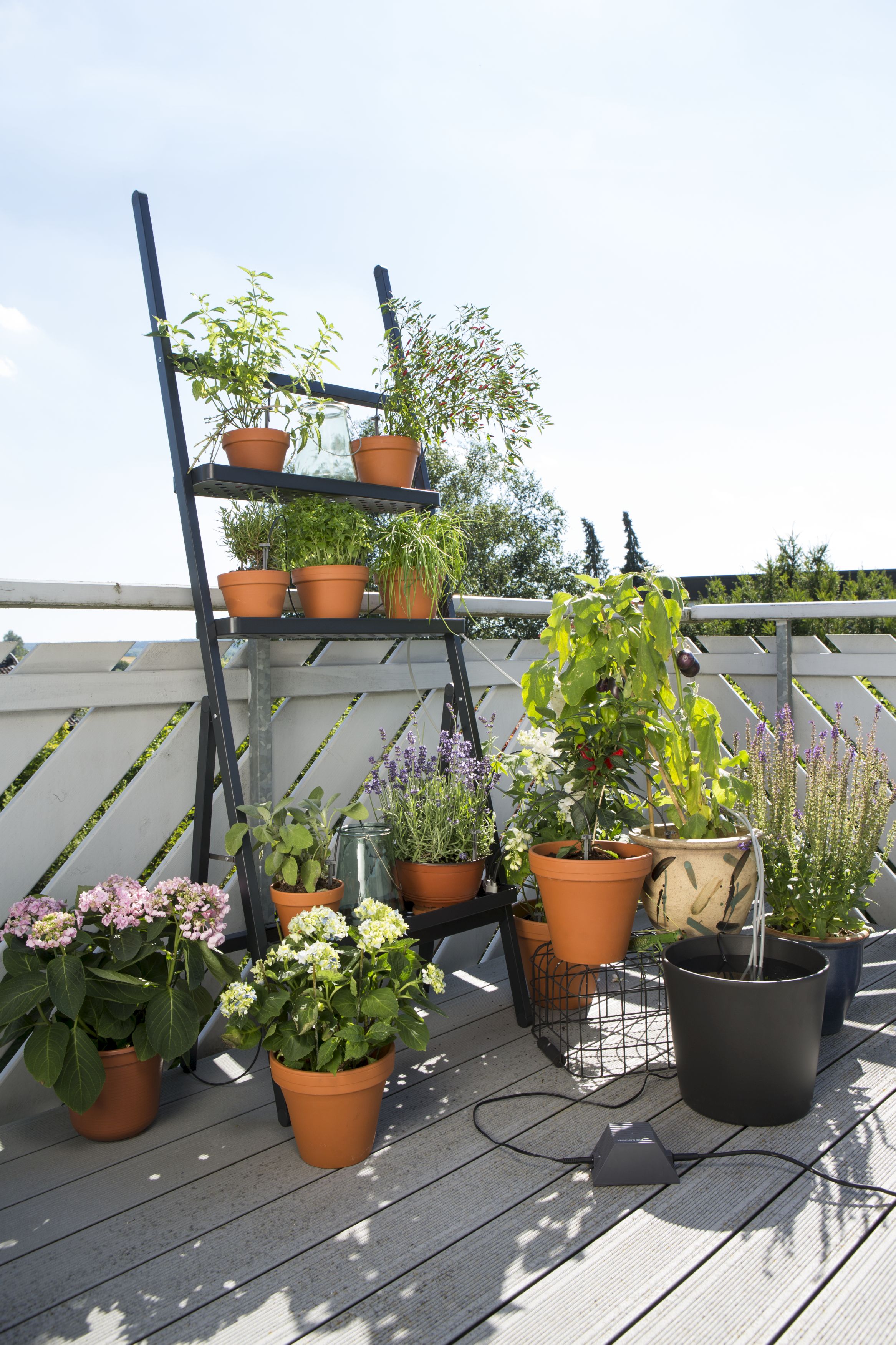 Riego automático de vacaciones