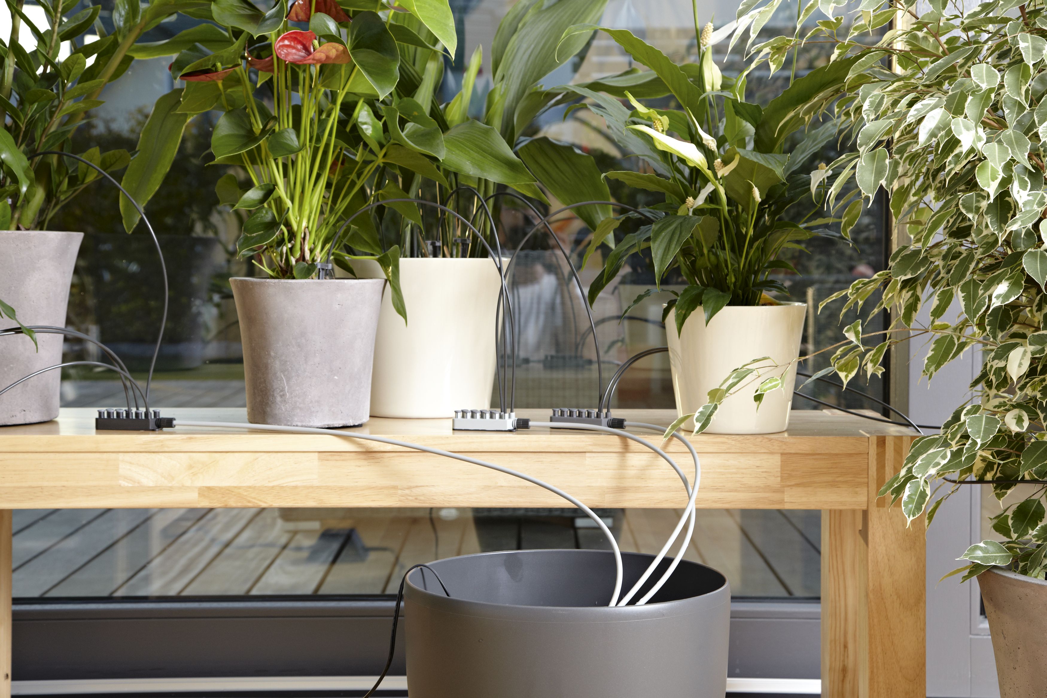 Riego automático de vacaciones