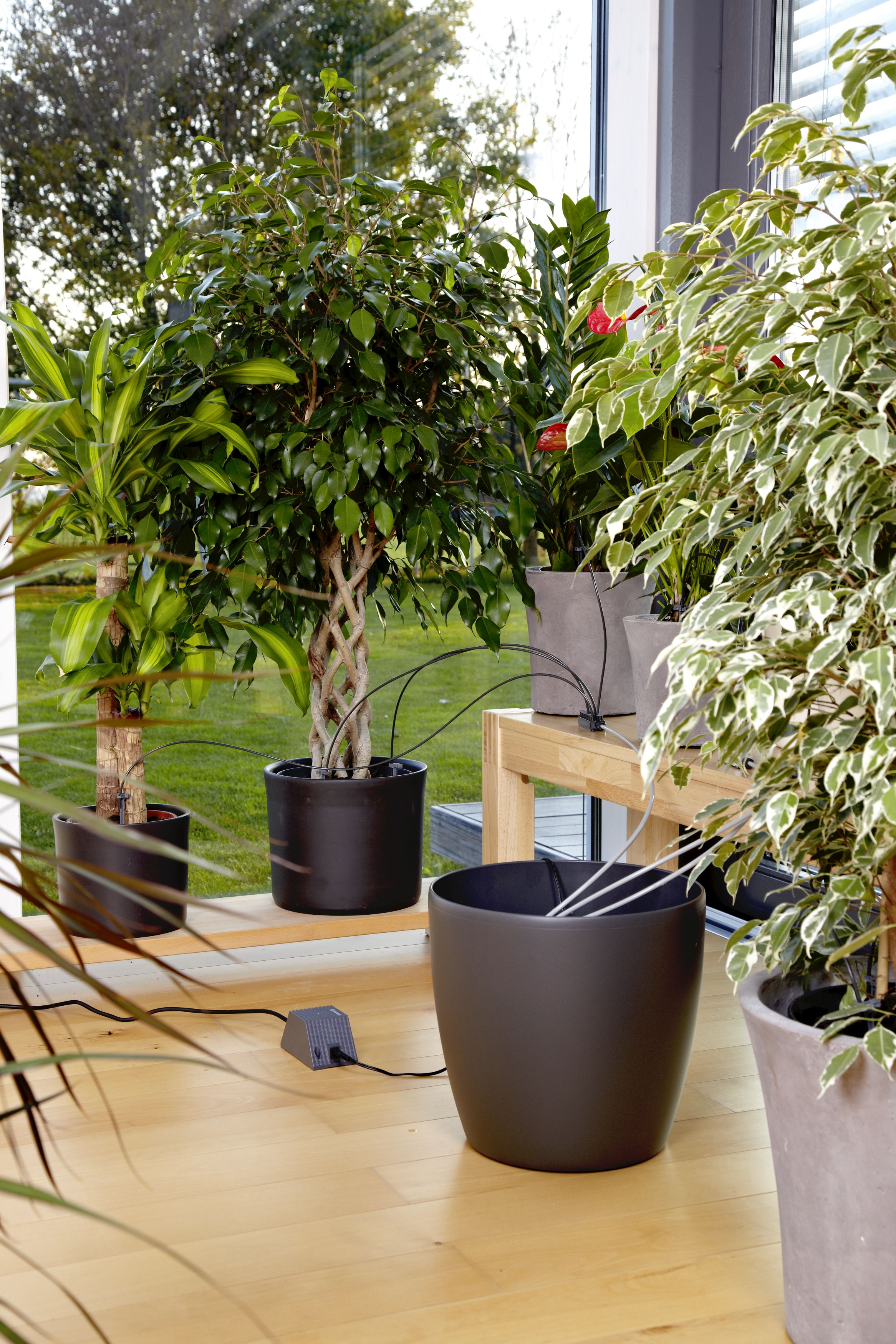 Riego automático de vacaciones