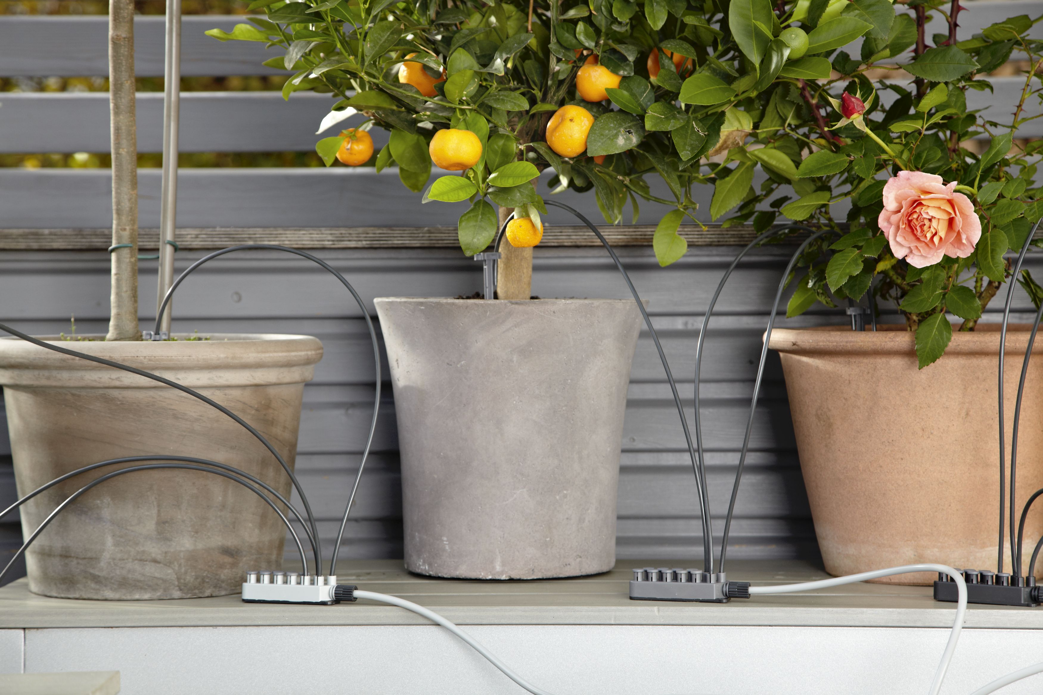 Riego automático de vacaciones