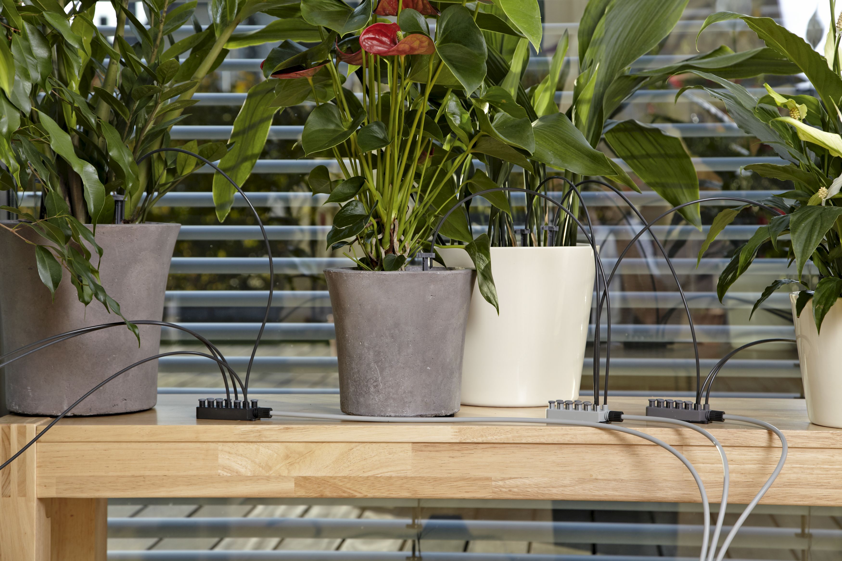 Riego automático de vacaciones