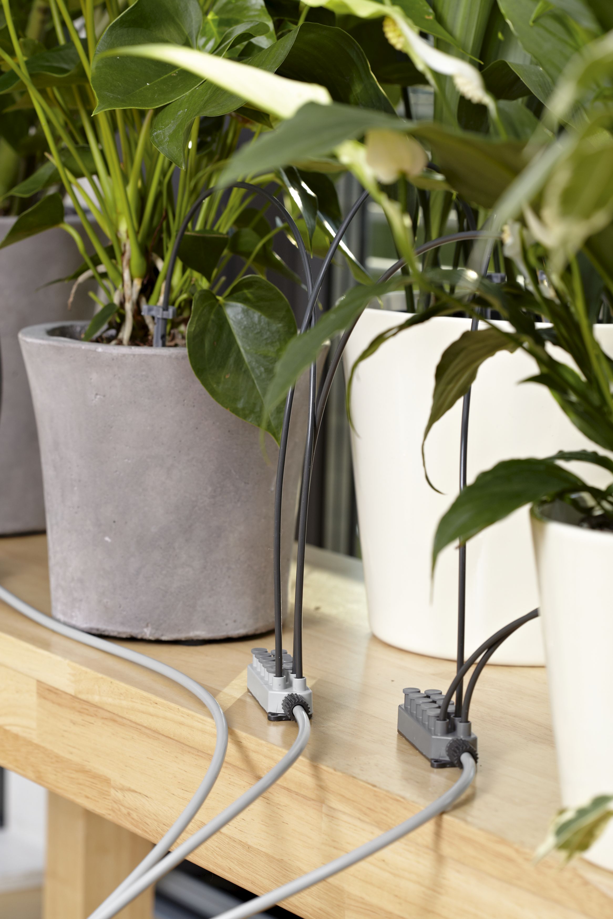 Riego automático de vacaciones con depósito de agua