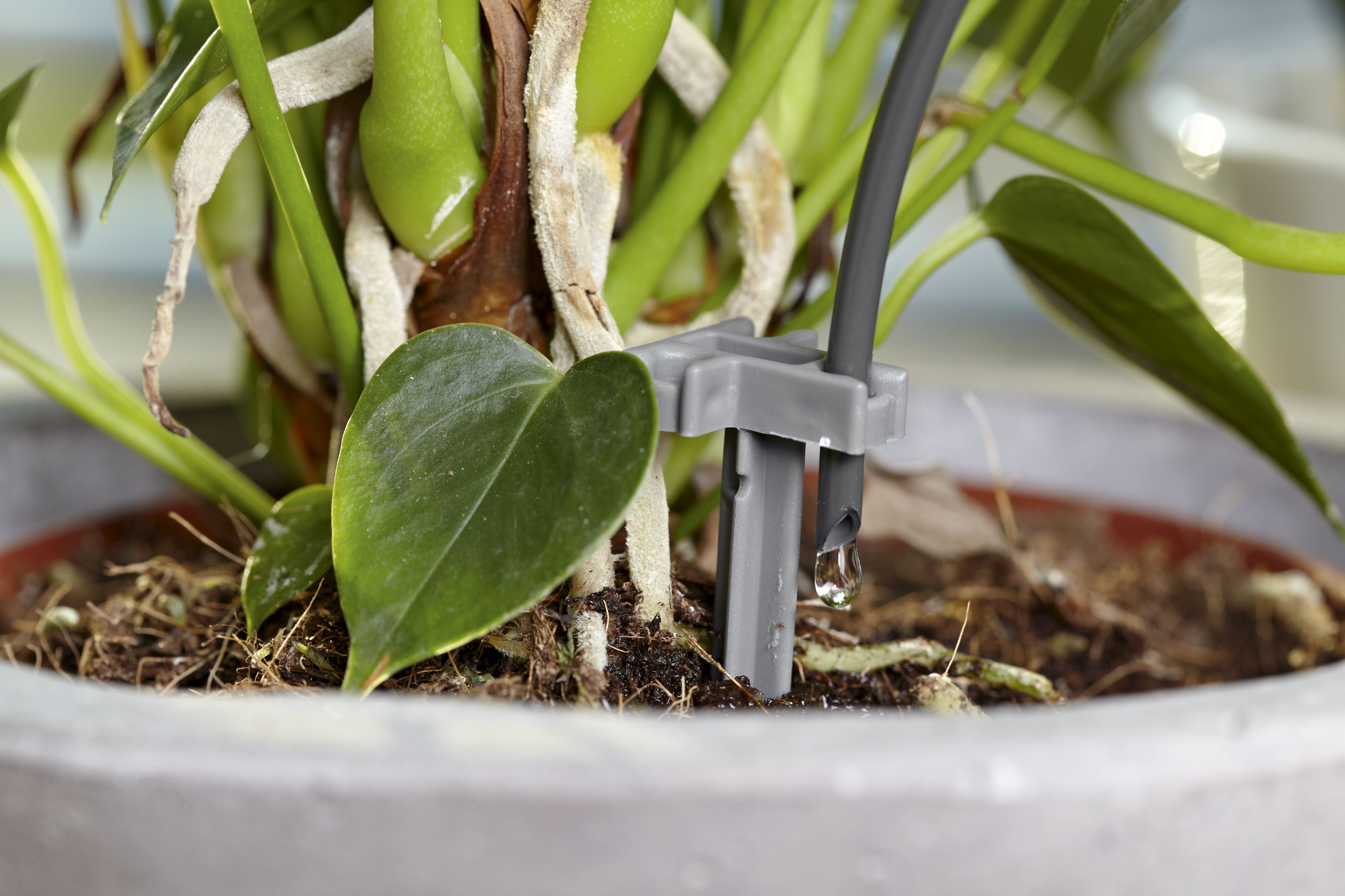 Riego automático de vacaciones con depósito de agua