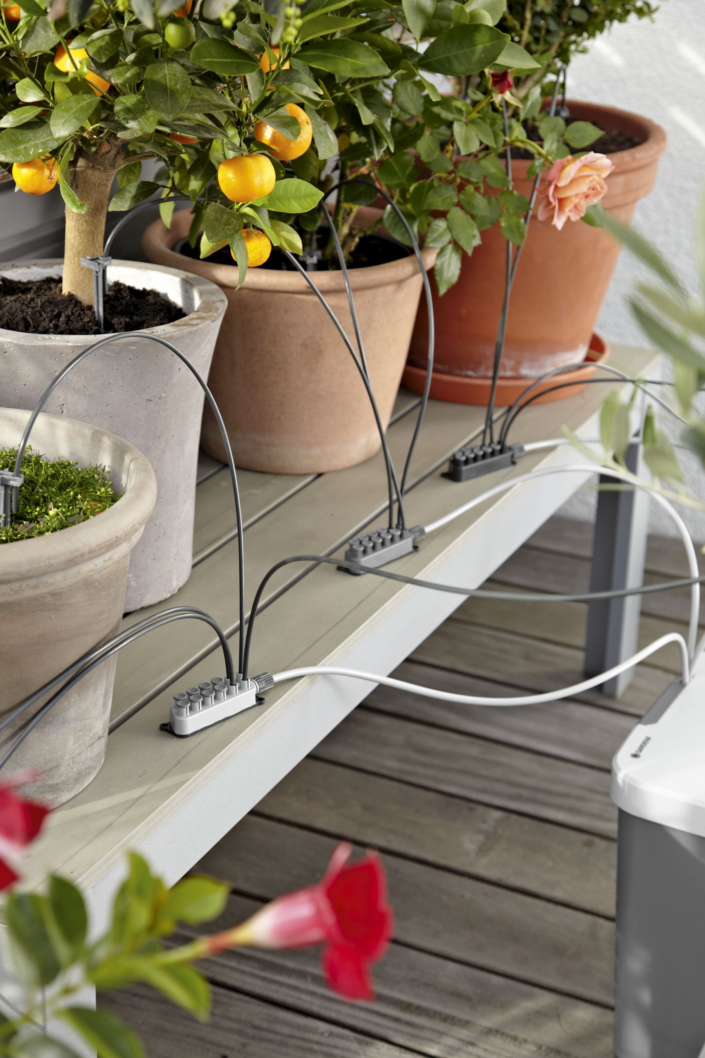 Riego automático de vacaciones con depósito de agua