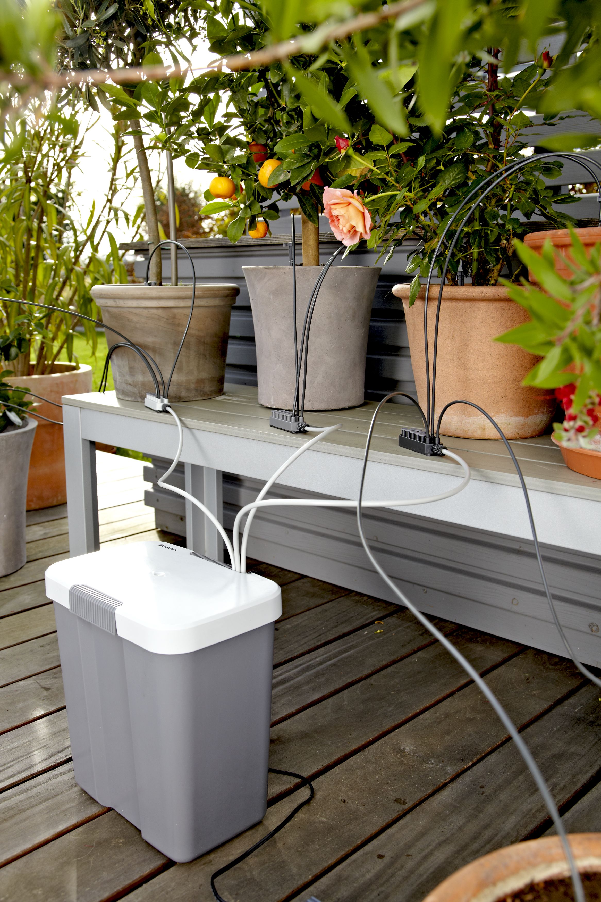 Riego automático de vacaciones con depósito de agua