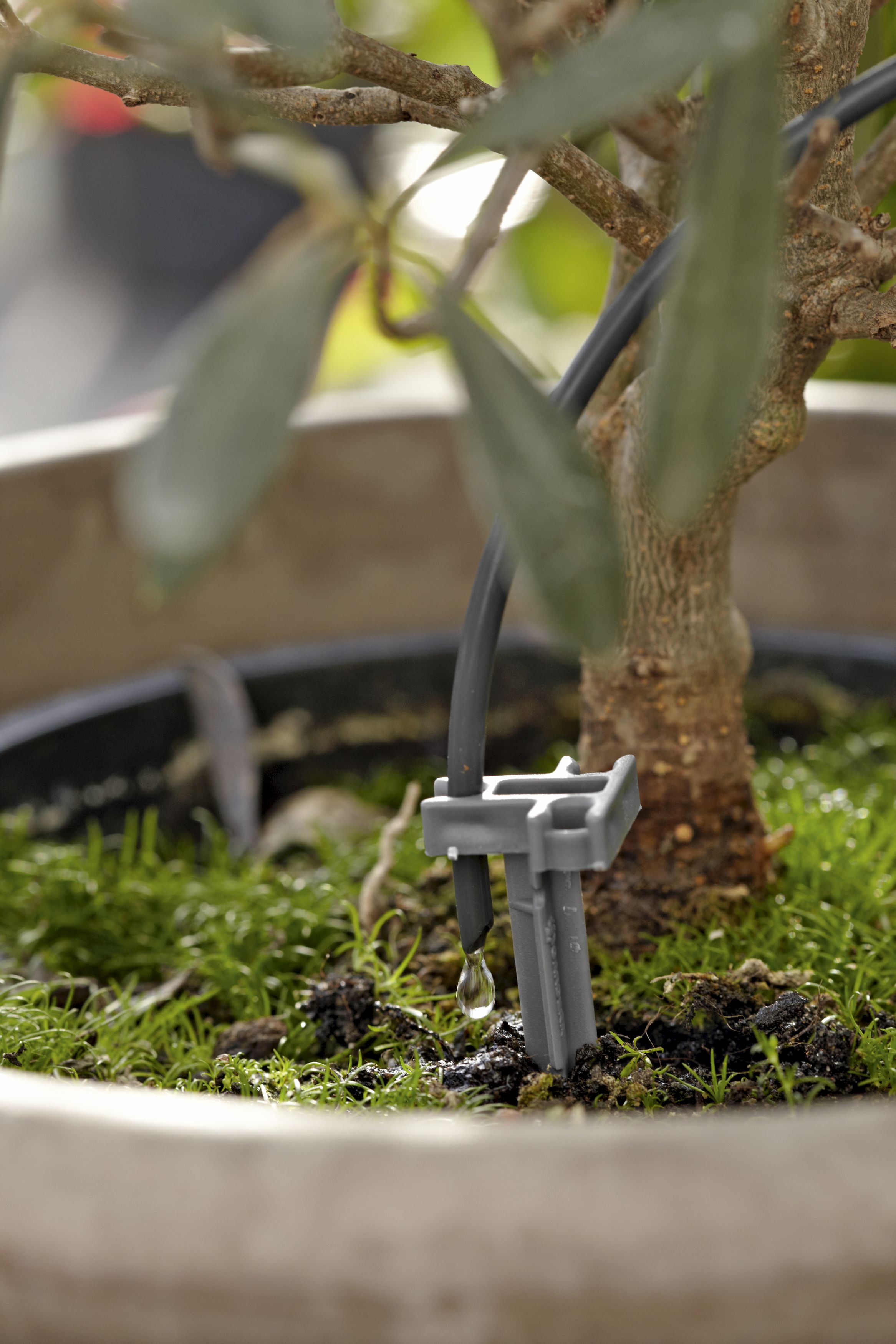 Riego automático de vacaciones con depósito de agua