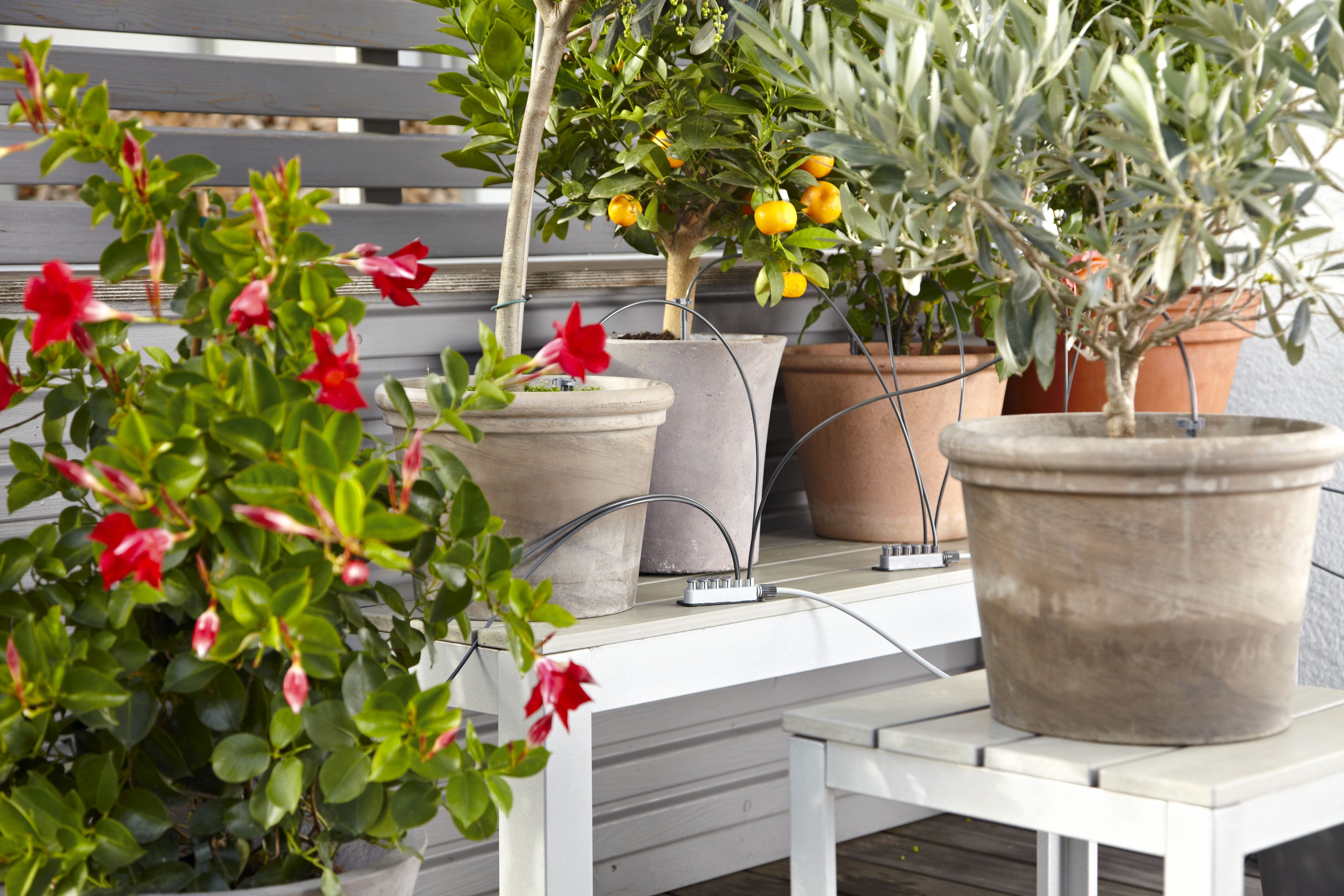 Riego automático de vacaciones con depósito de agua