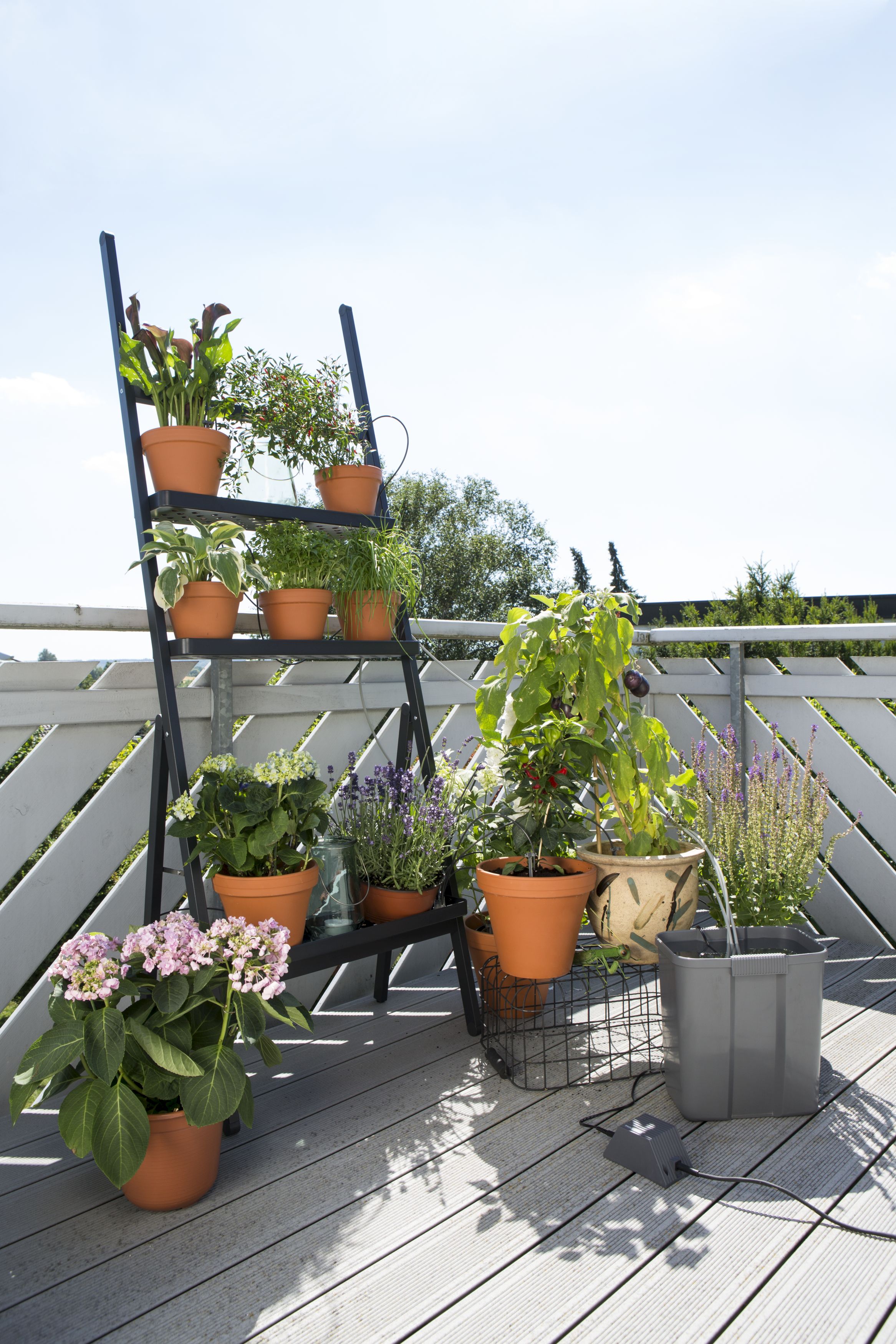 Riego automático de vacaciones con depósito de agua