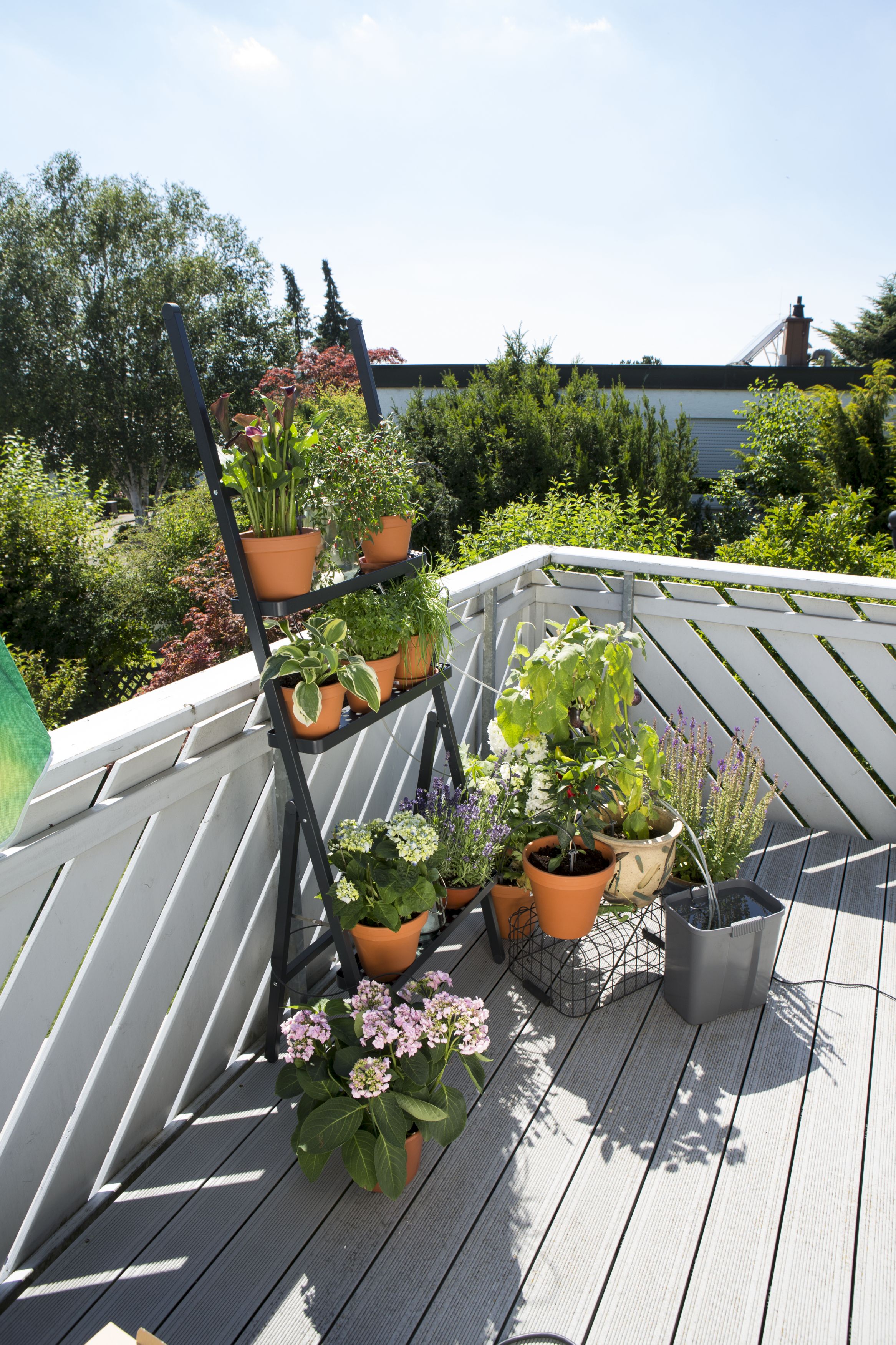Riego automático de vacaciones con depósito de agua