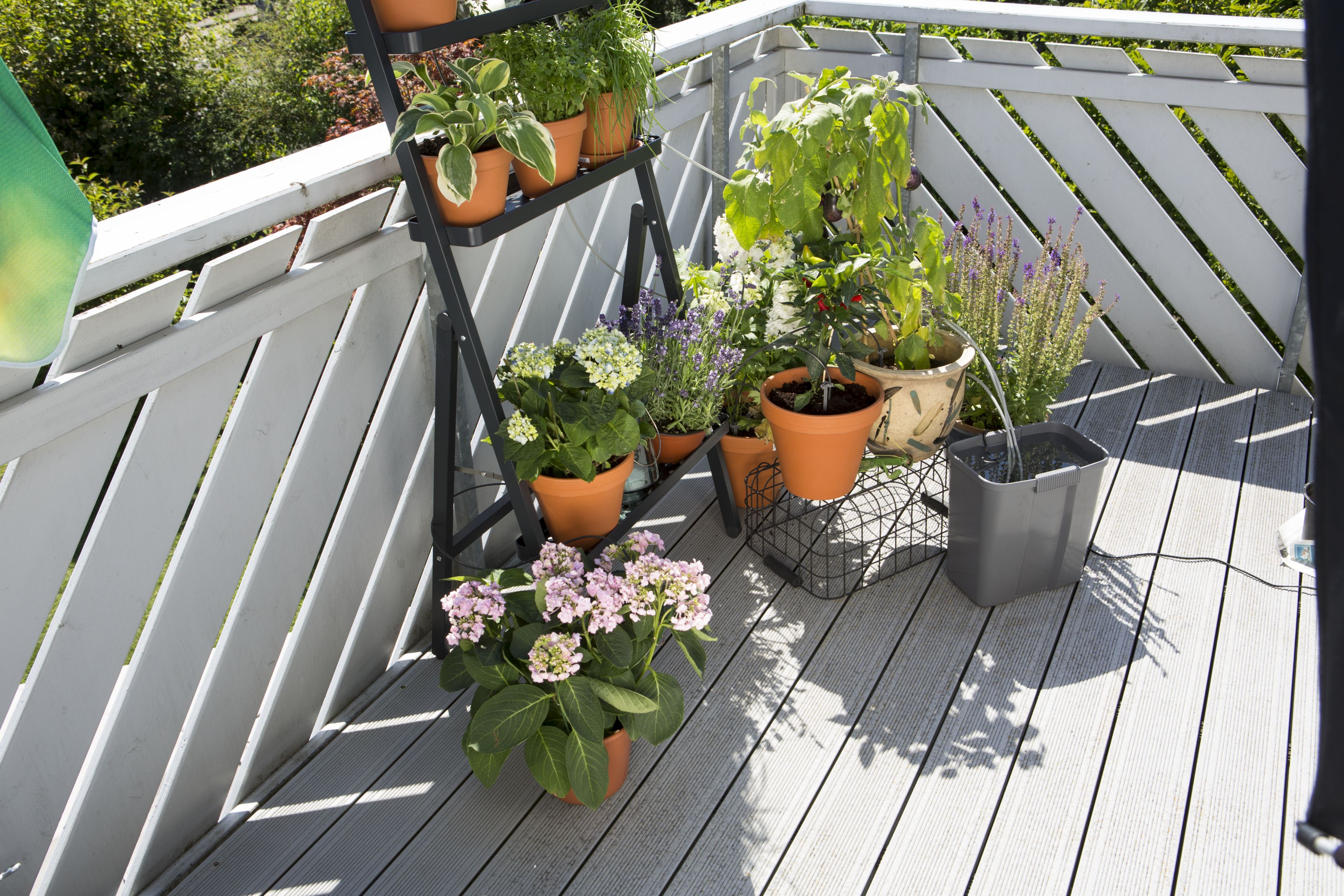 Riego automático de vacaciones con depósito de agua