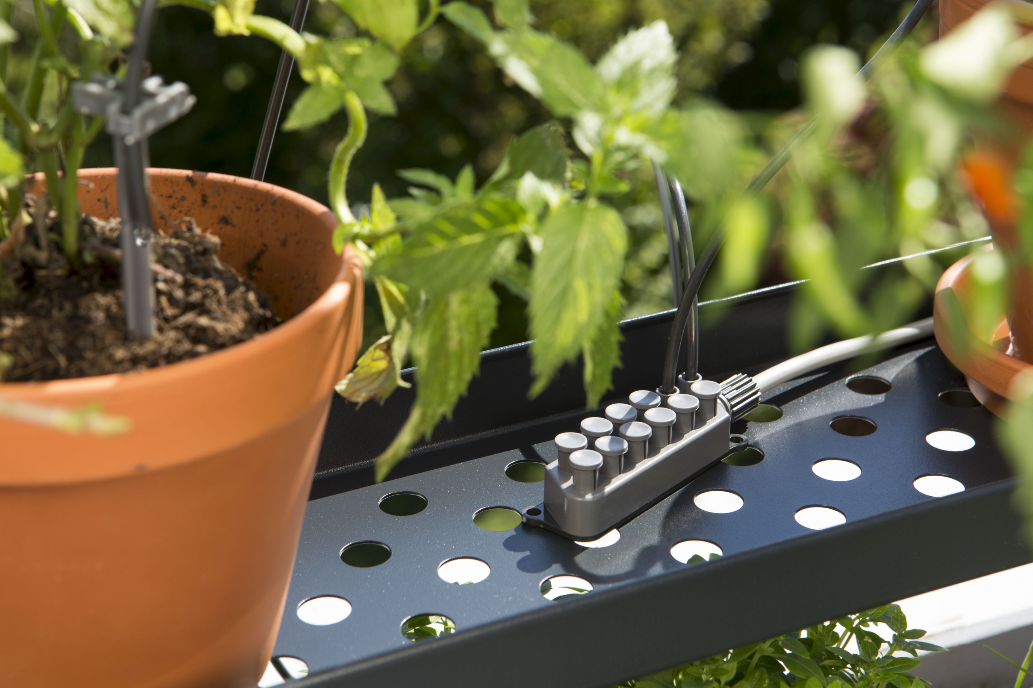 Riego automático de vacaciones con depósito de agua