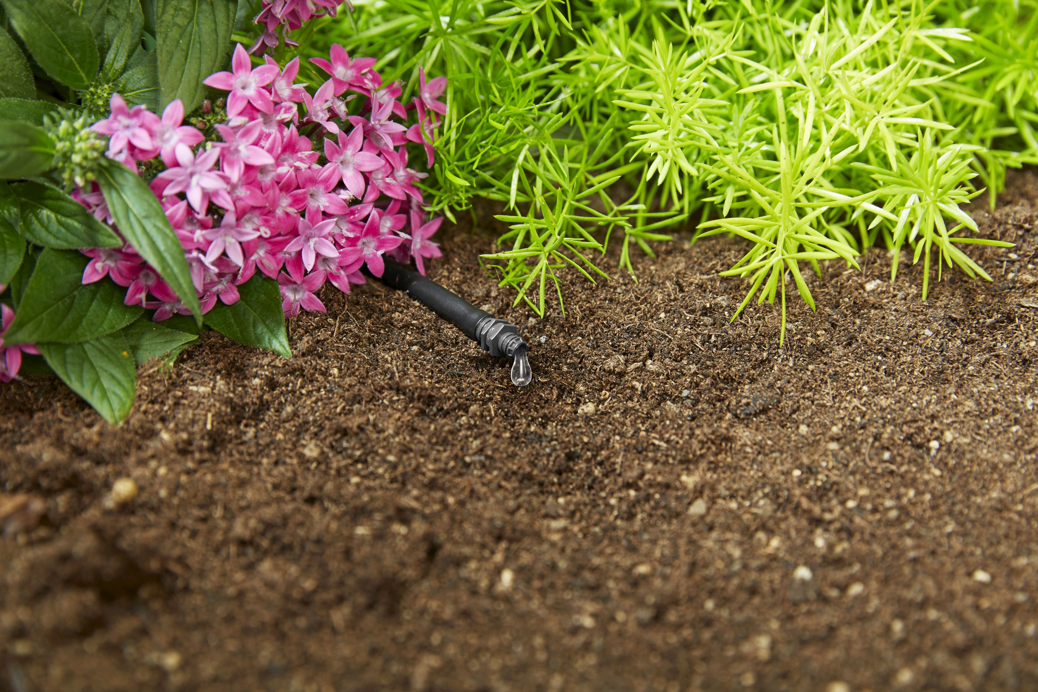 Gotero final GARDENA- 4 l/h