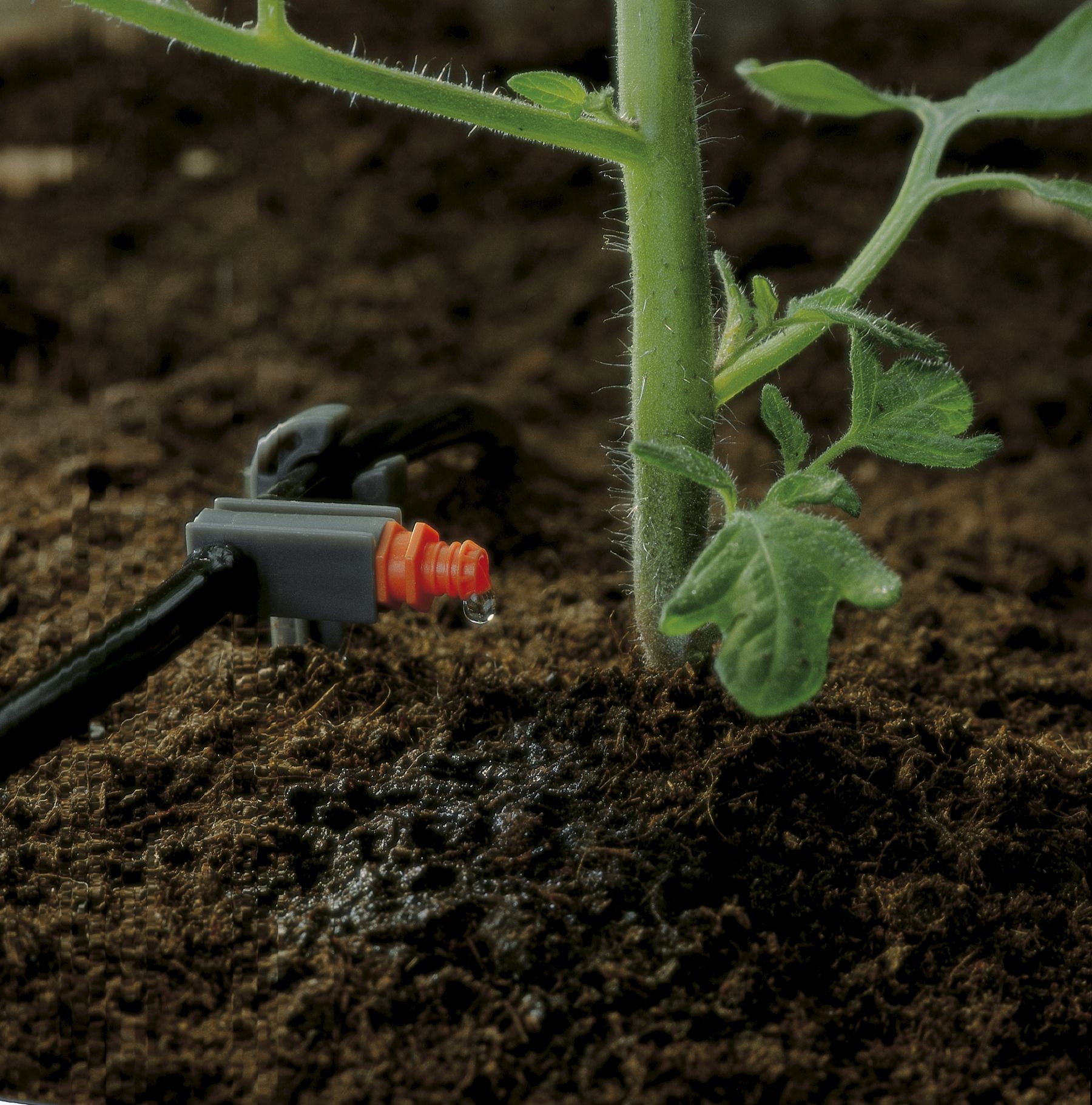 Gotero en línea 2 l/h