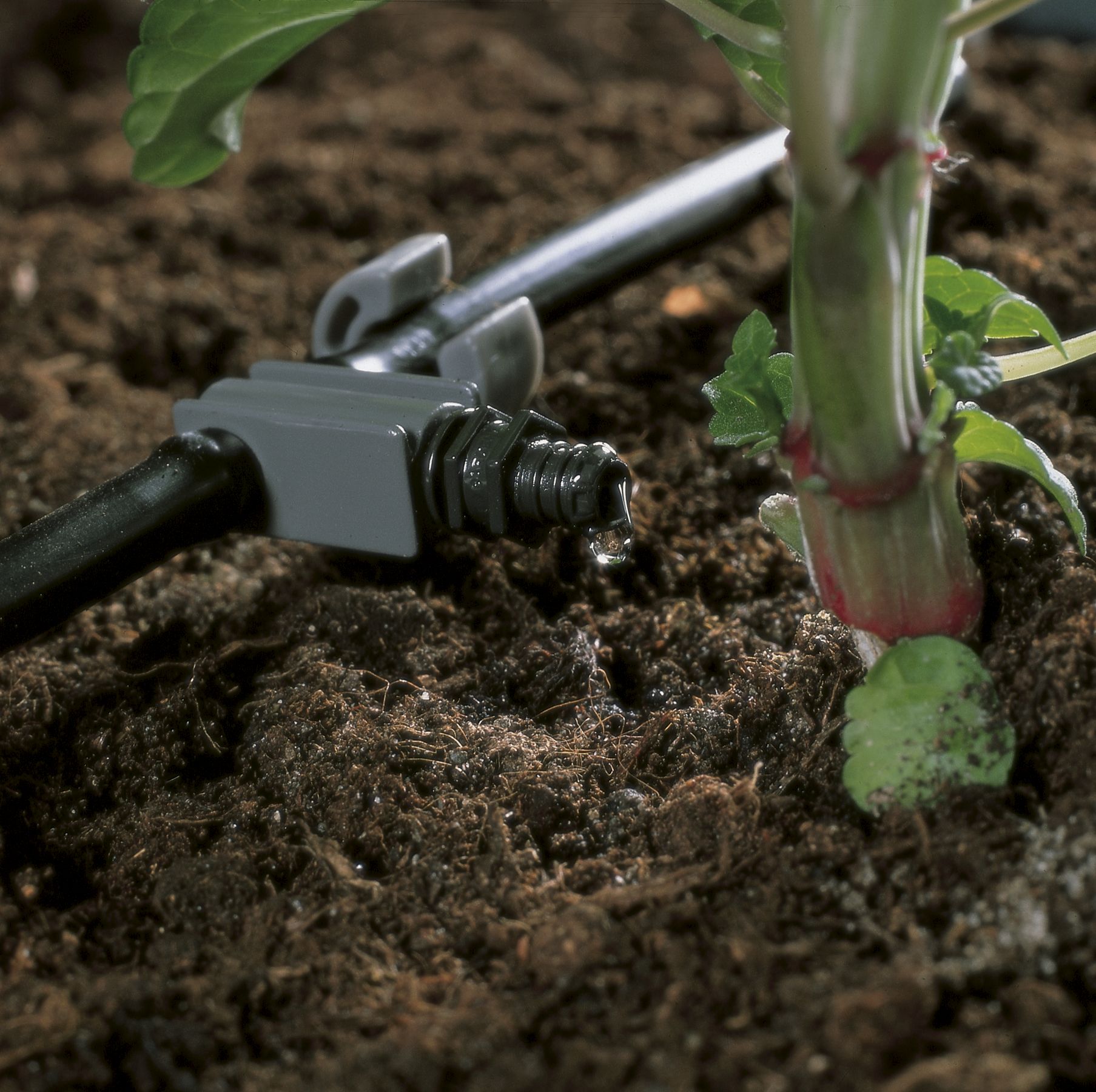 Gotero en línea 4 l/h