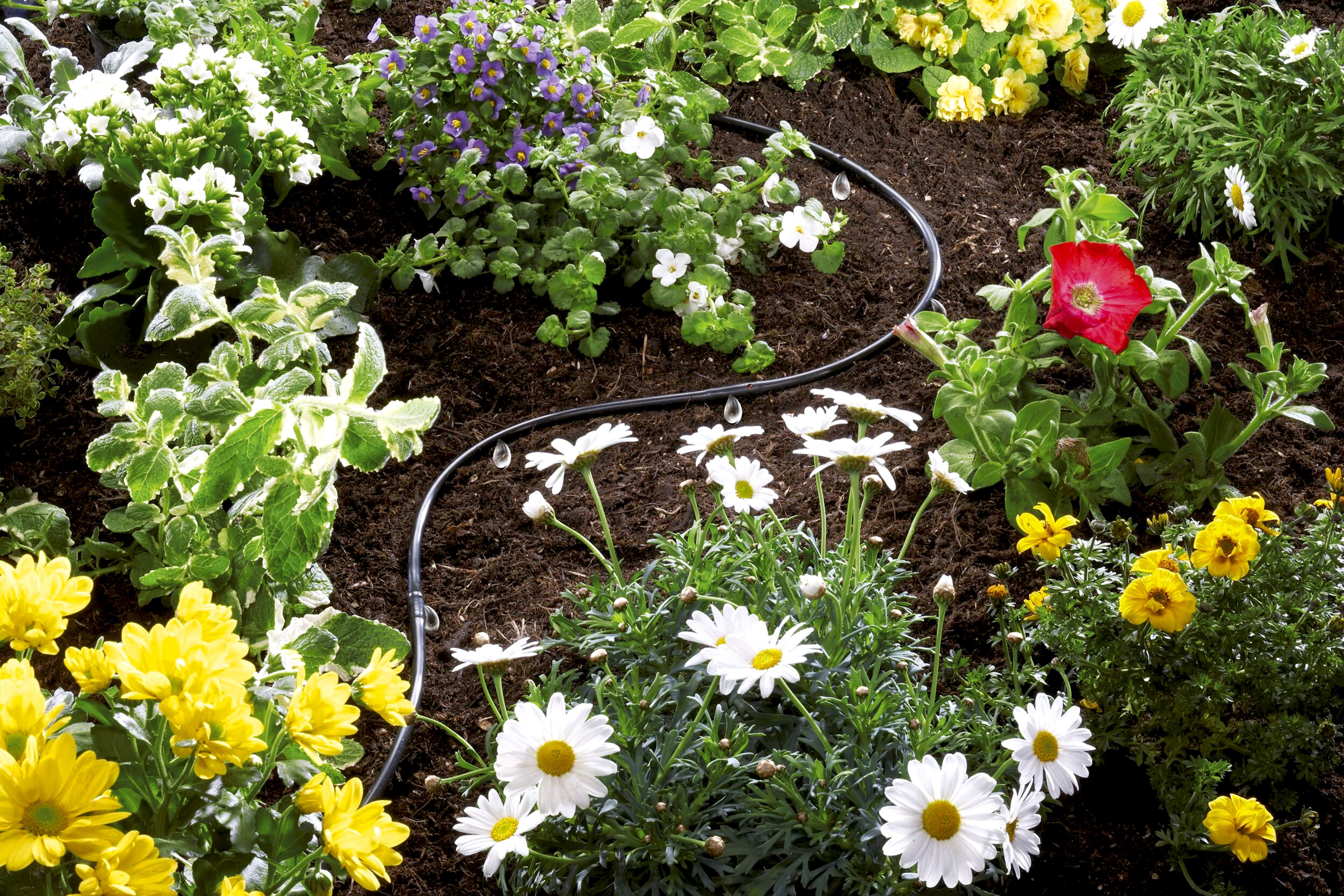 Tubo de superficie con goteros incluidos 4,6 mm sin accesorios