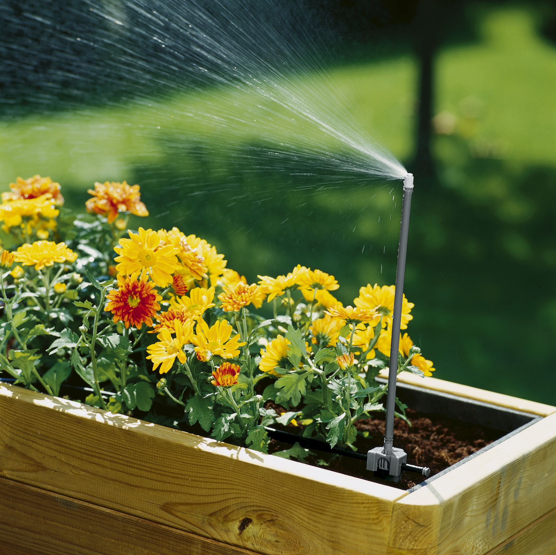 Tobera pulverizadora 360°