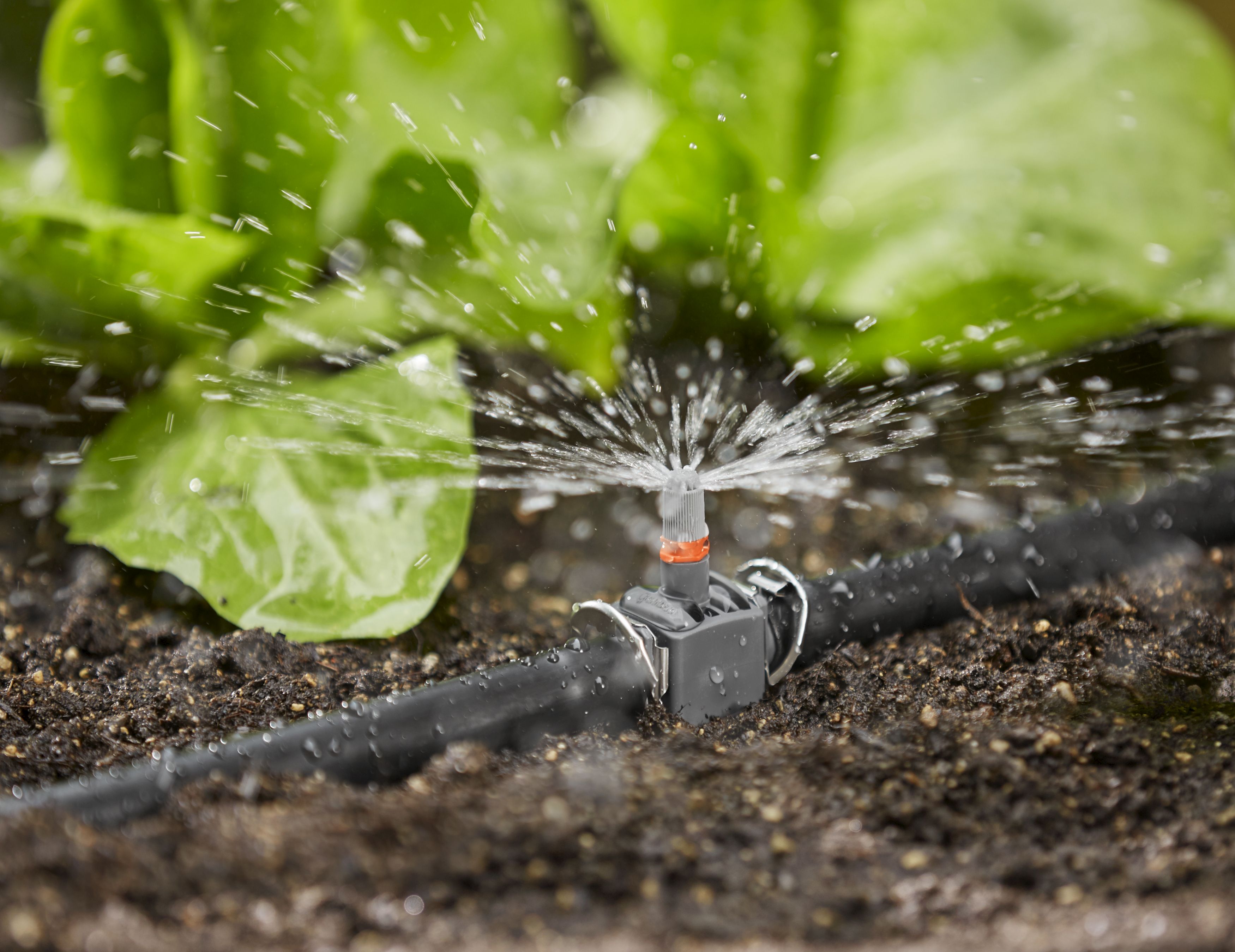 Tobera pulverizadora 360°