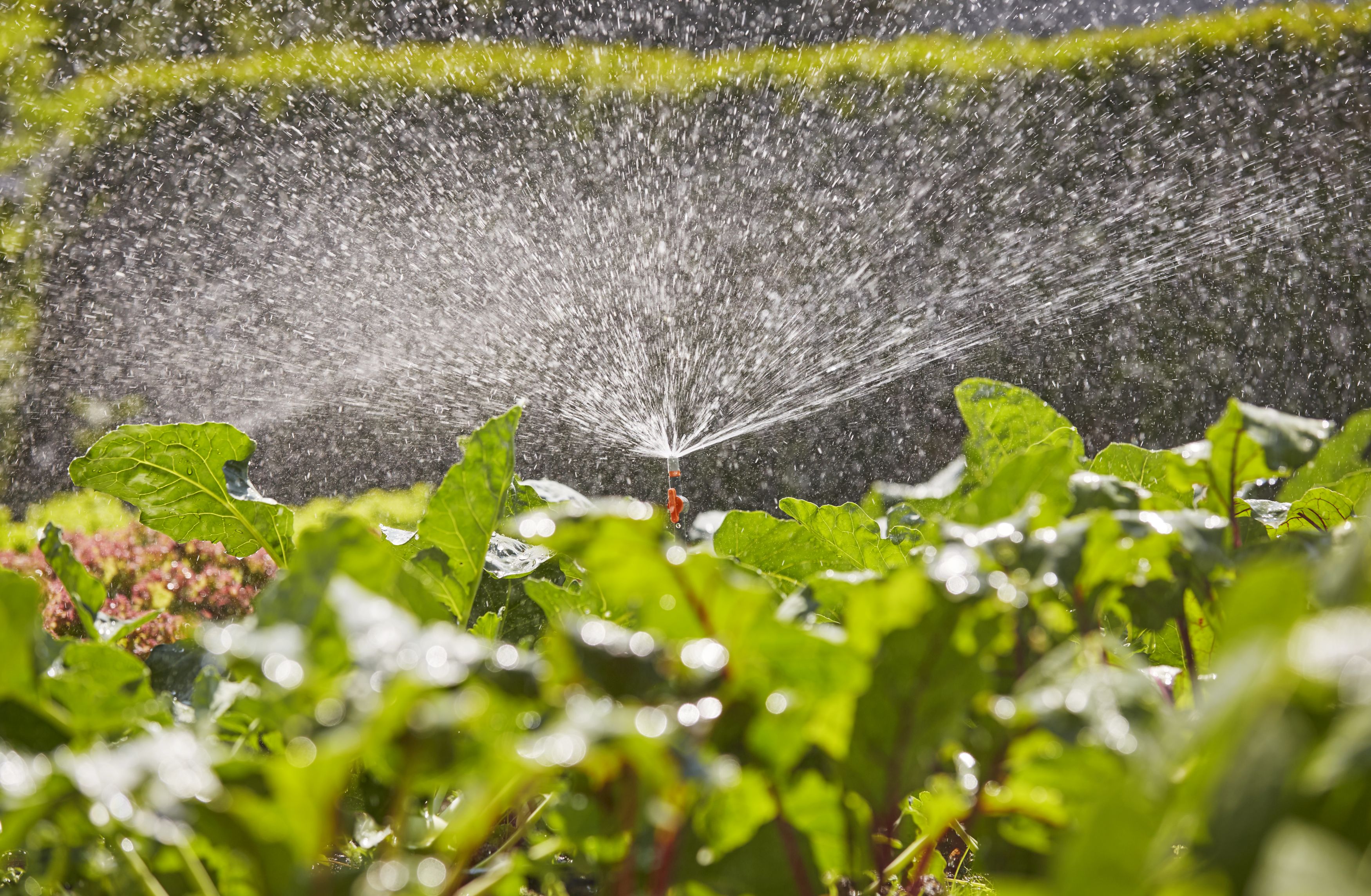 Tobera pulverizadora 360°