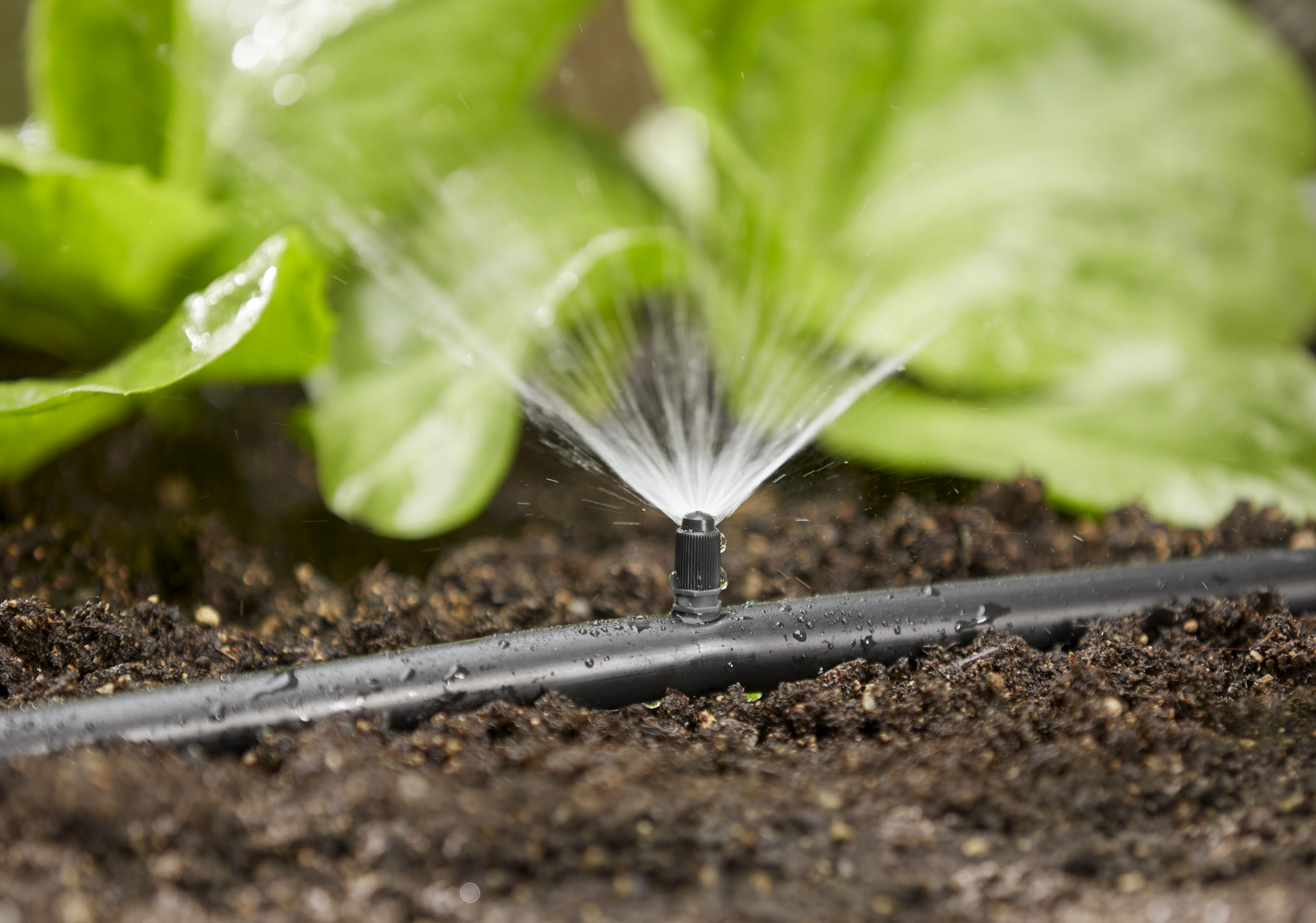 Tobera pulverizadora 90°