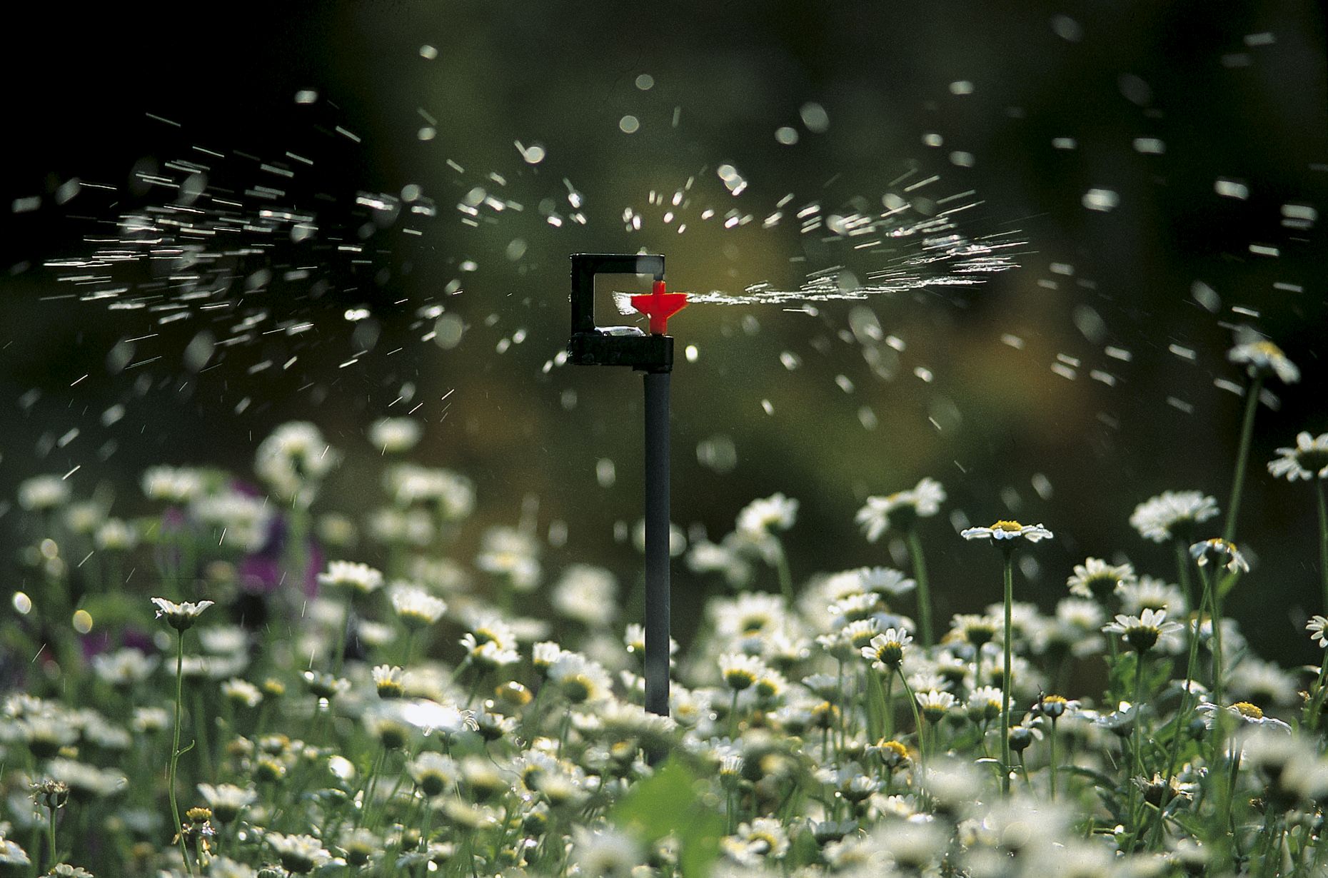 Mini-aspersor de 360º Micro-Drip-System