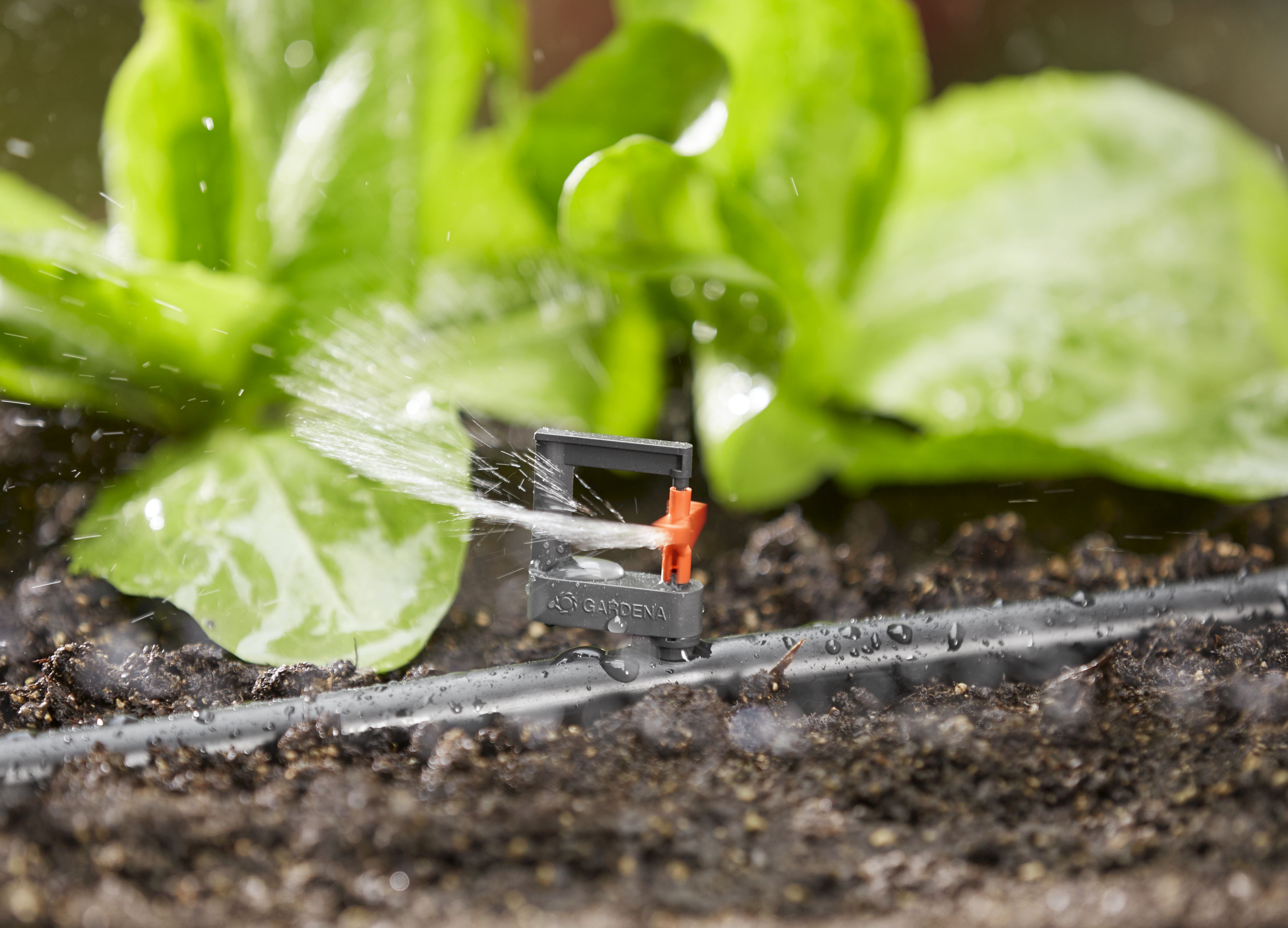 Mini-aspersor de 360º Micro-Drip-System